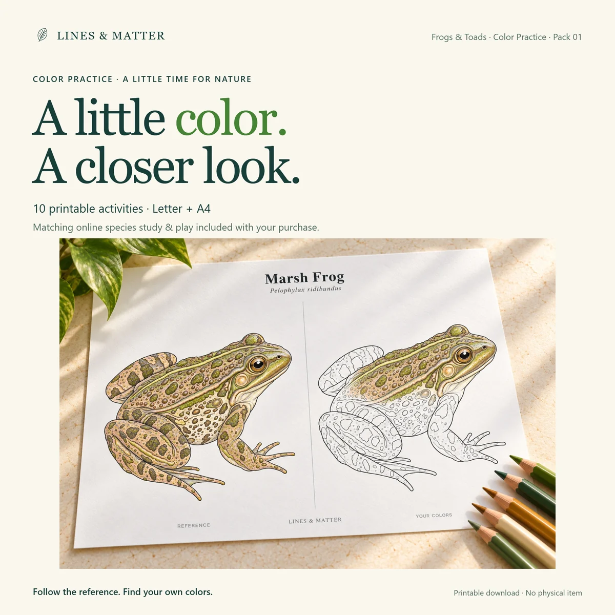Frogs & Toads: An illustrative partly colored example to inspire your own colors.