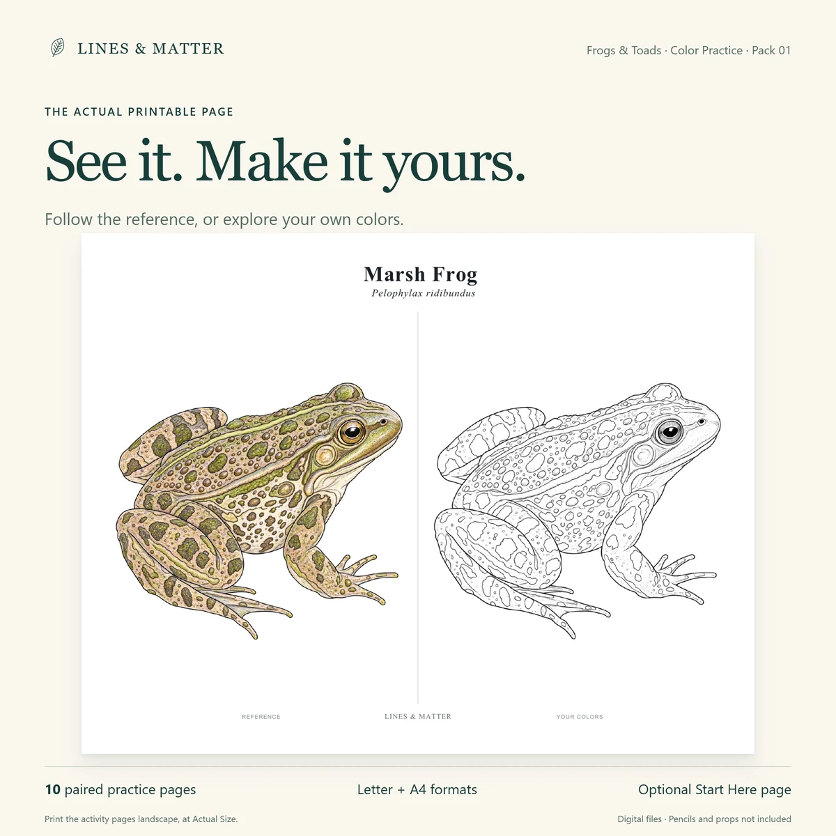 Frogs & Toads: The unchanged downloadable page pairs a colored-pencil reference with matching outlines.