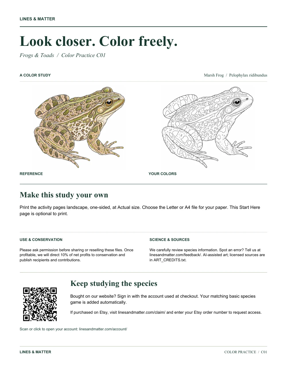 Frogs & Toads: The separate optional introduction to your printable and matching species game.