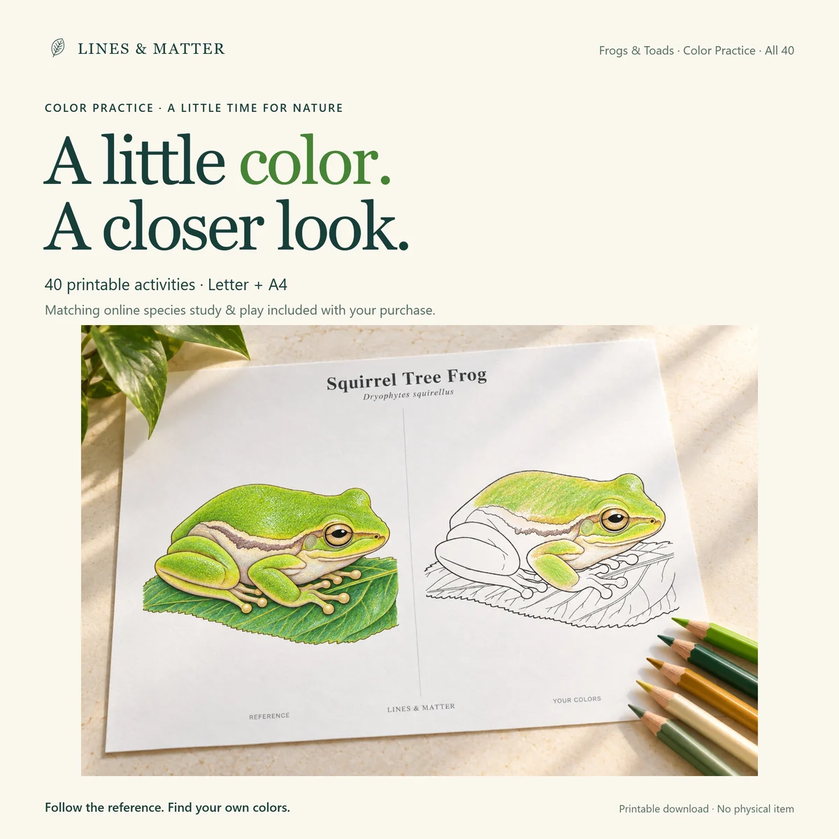 Frogs & Toads: An illustrative partly colored example to inspire your own colors.