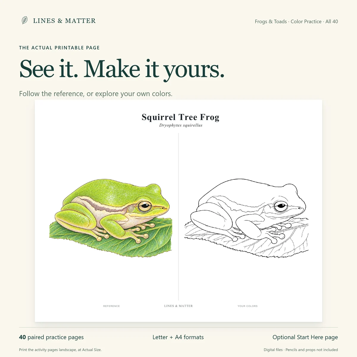 Frogs & Toads: The unchanged downloadable page pairs a colored-pencil reference with matching outlines.