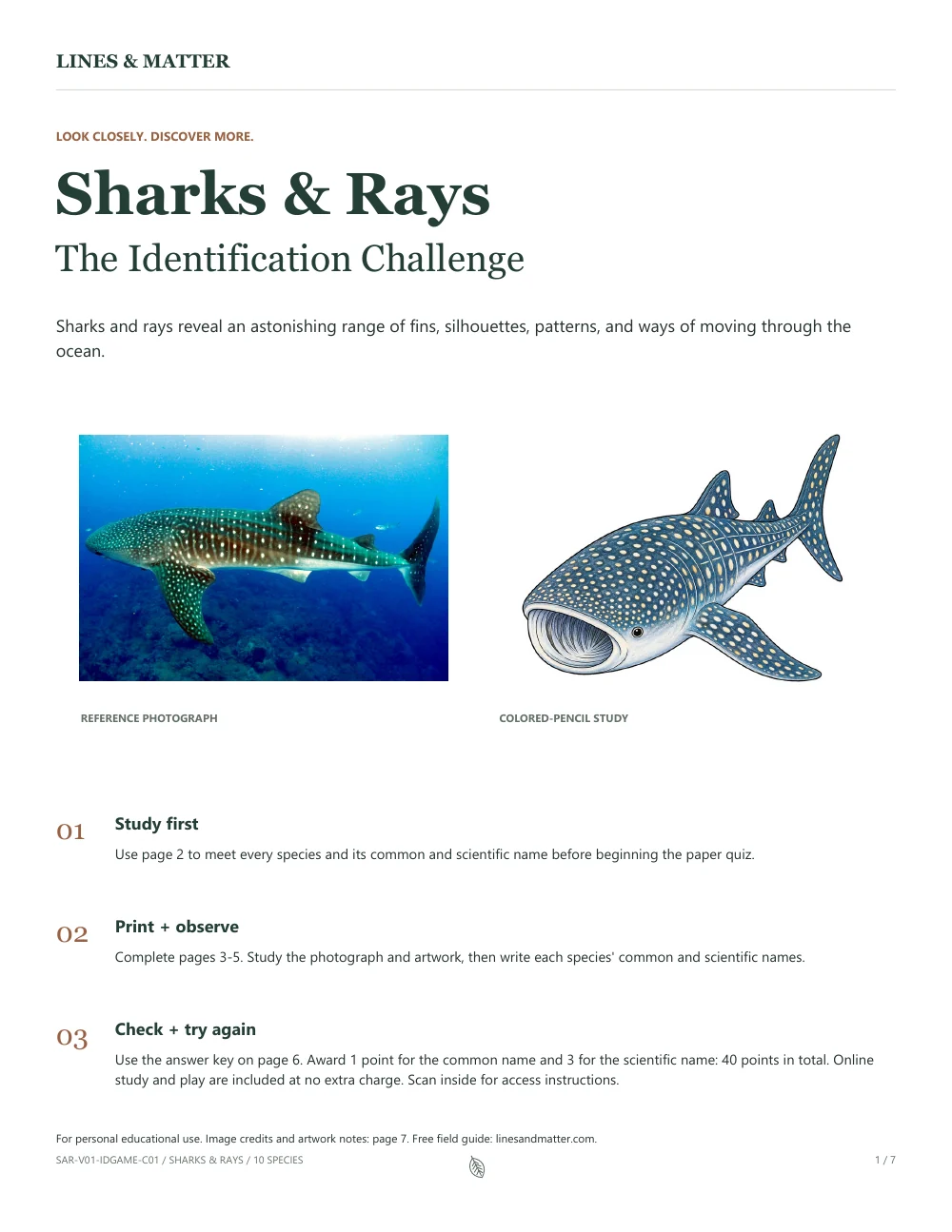 Introduction to Sharks & Rays Identification Pack 01, with a whale shark photograph, illustration and study instructions.