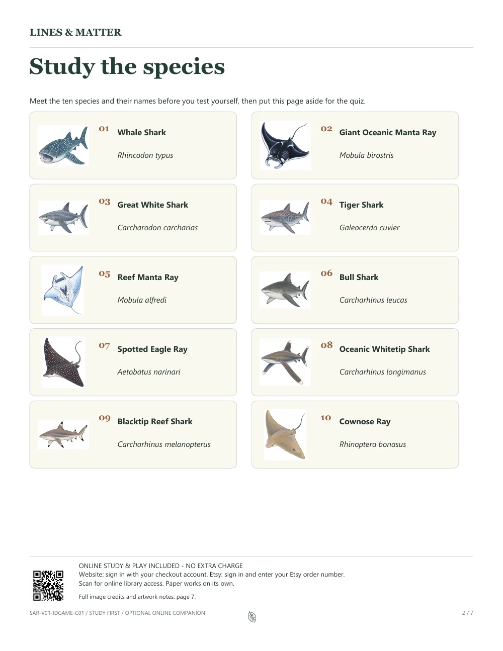 Sharks & Rays Pack 01 study page showing all ten species with illustrated portraits, common names and scientific names.