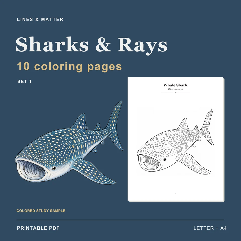 Coloring Pack 01 product preview 1