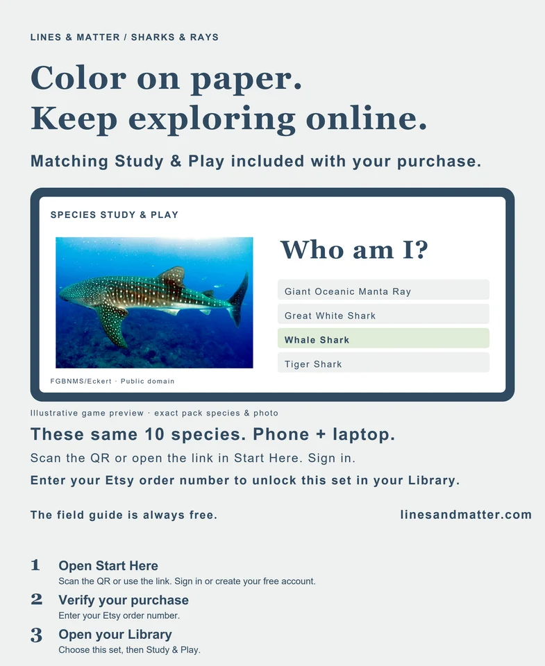 Coloring Pack 01 product preview 2
