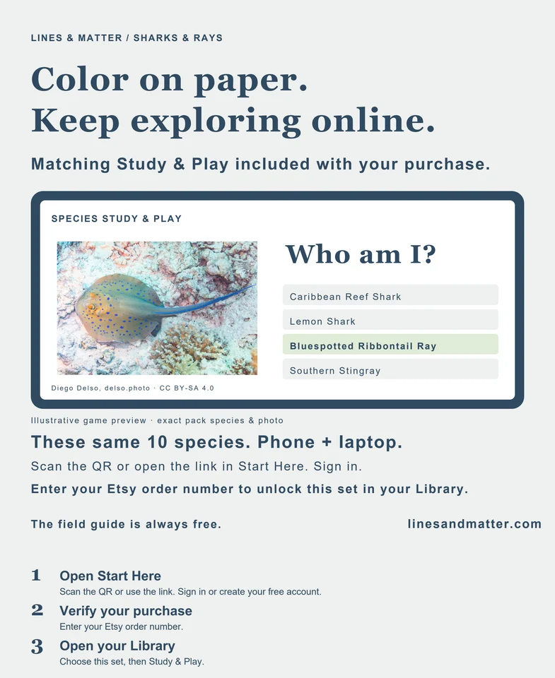 Coloring Pack 02 product preview 2