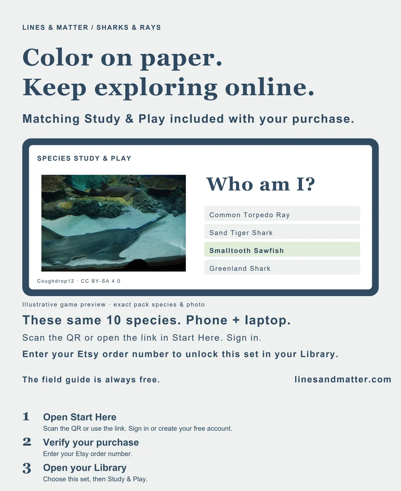 Coloring Pack 04 product preview 2