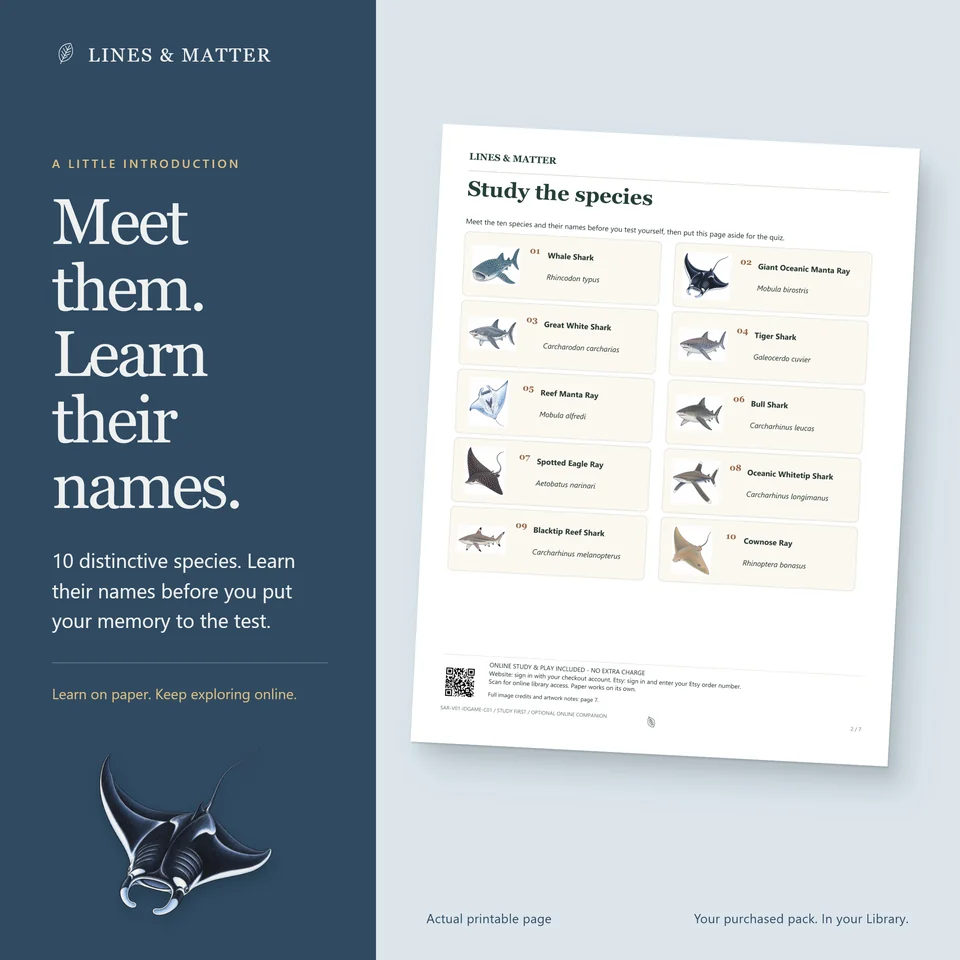 Identification Pack 01 product preview 2
