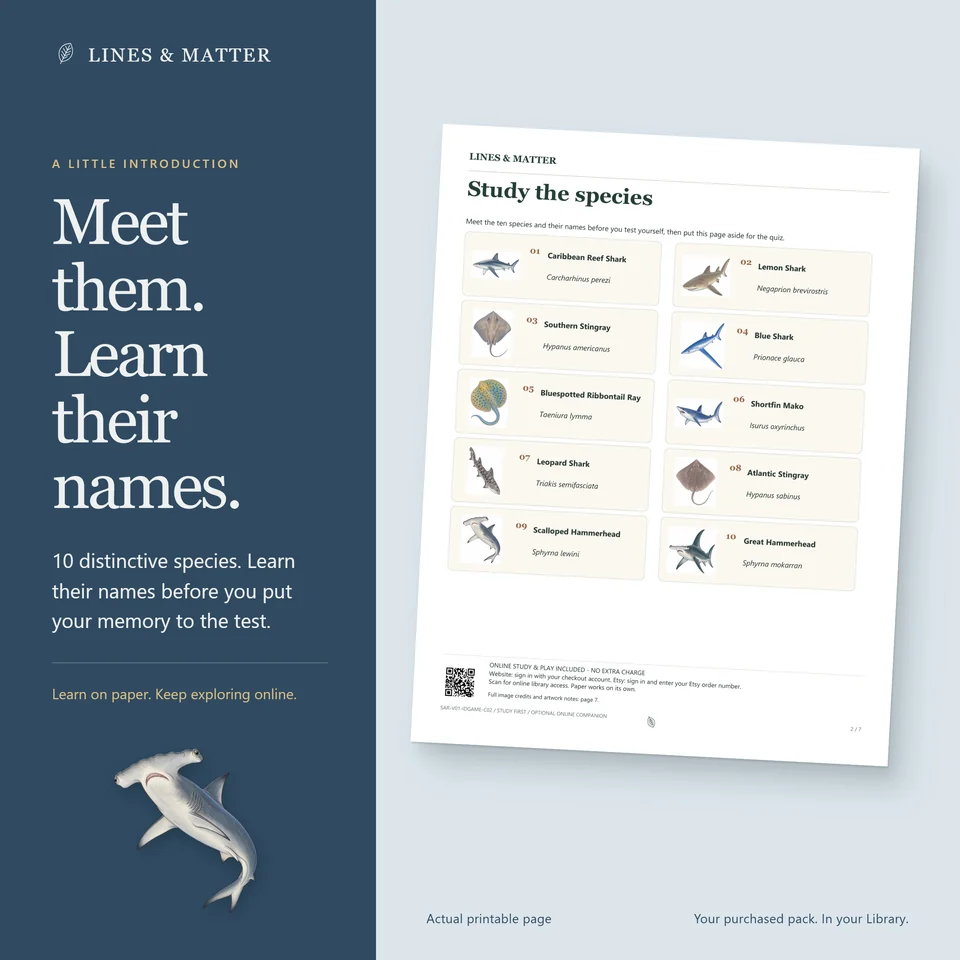 Identification Pack 02 product preview 2