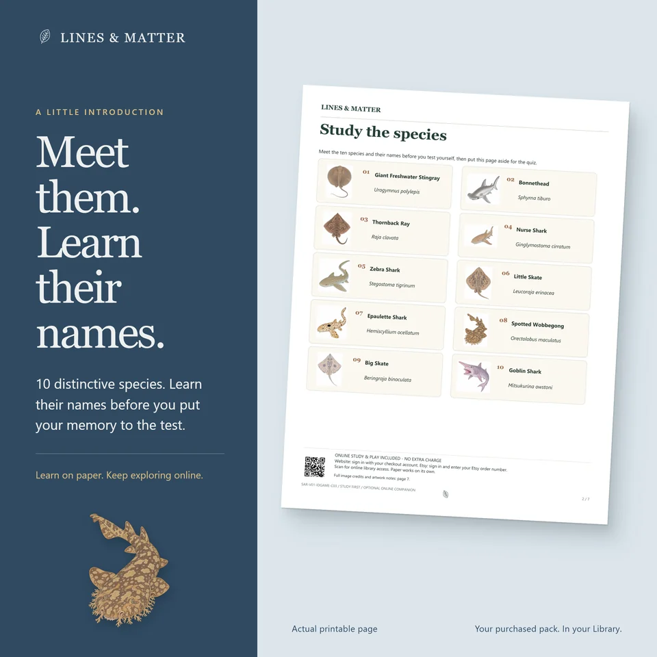 Identification Pack 03 product preview 2