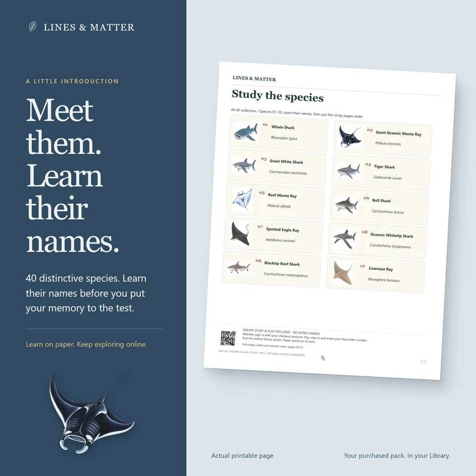 Identification Complete 40 product preview 2