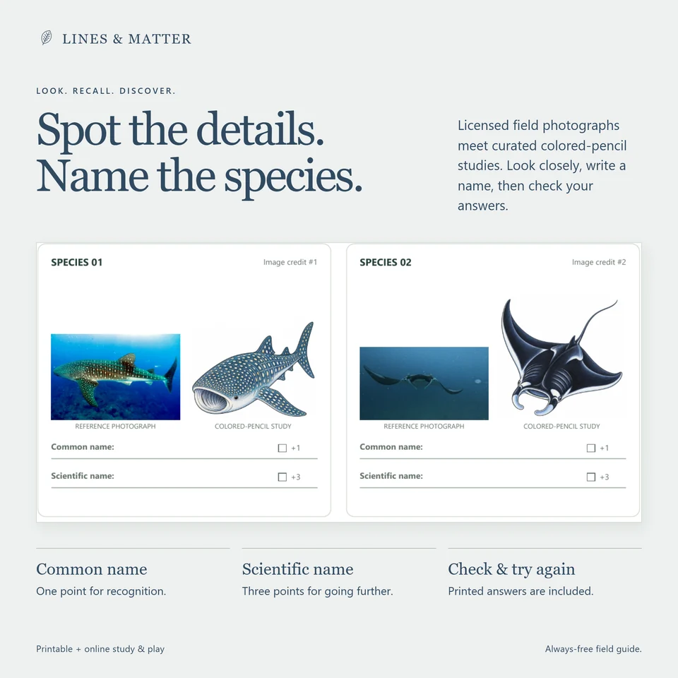 Identification Complete 40 product preview 3
