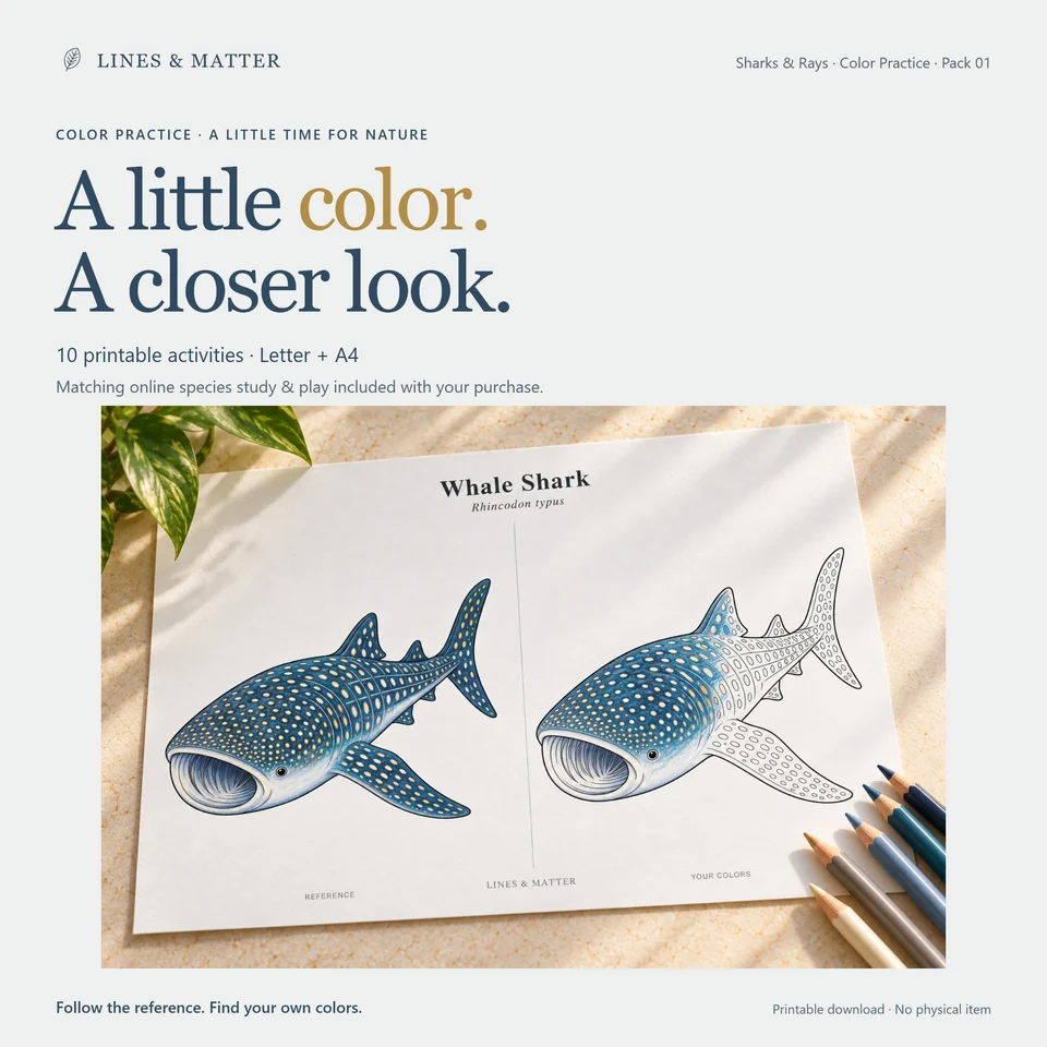 Color Practice Pack 01 product preview 1