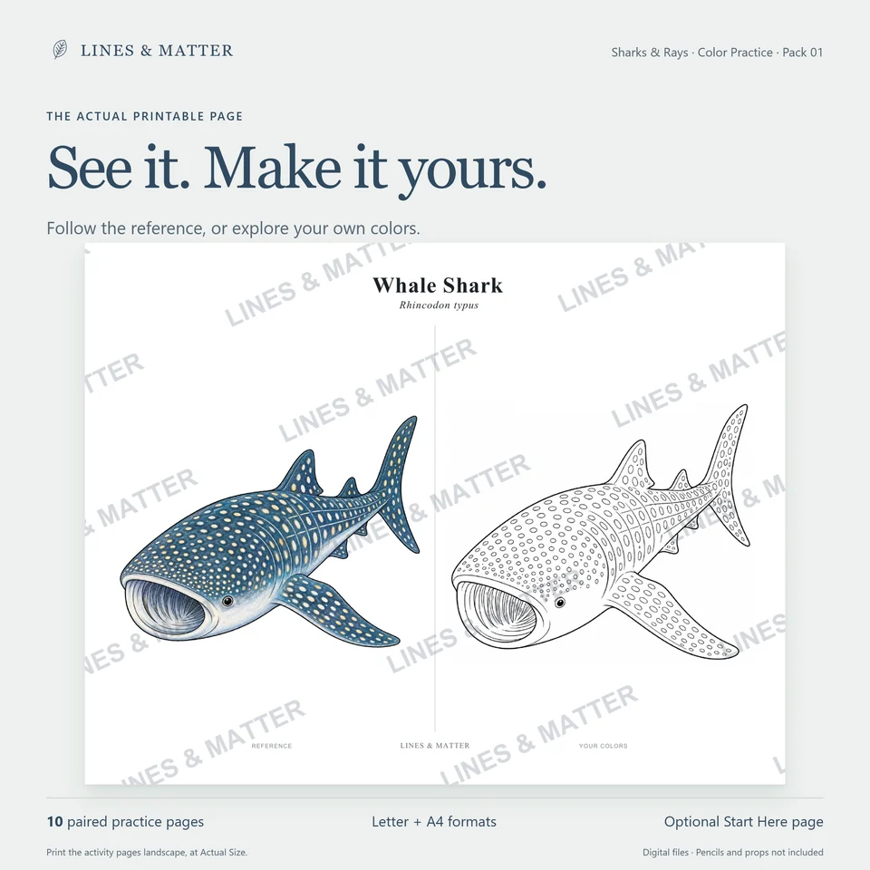 Color Practice Pack 01 product preview 2
