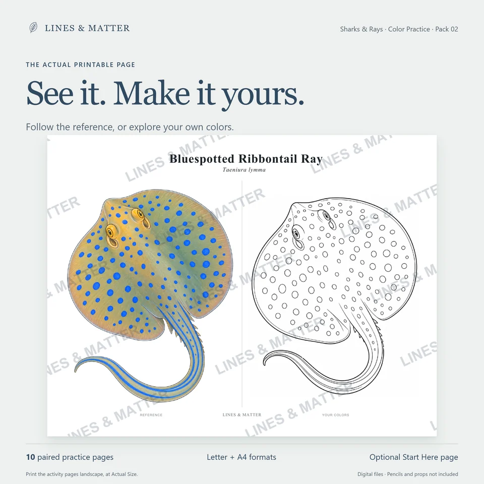 Color Practice Pack 02 product preview 2