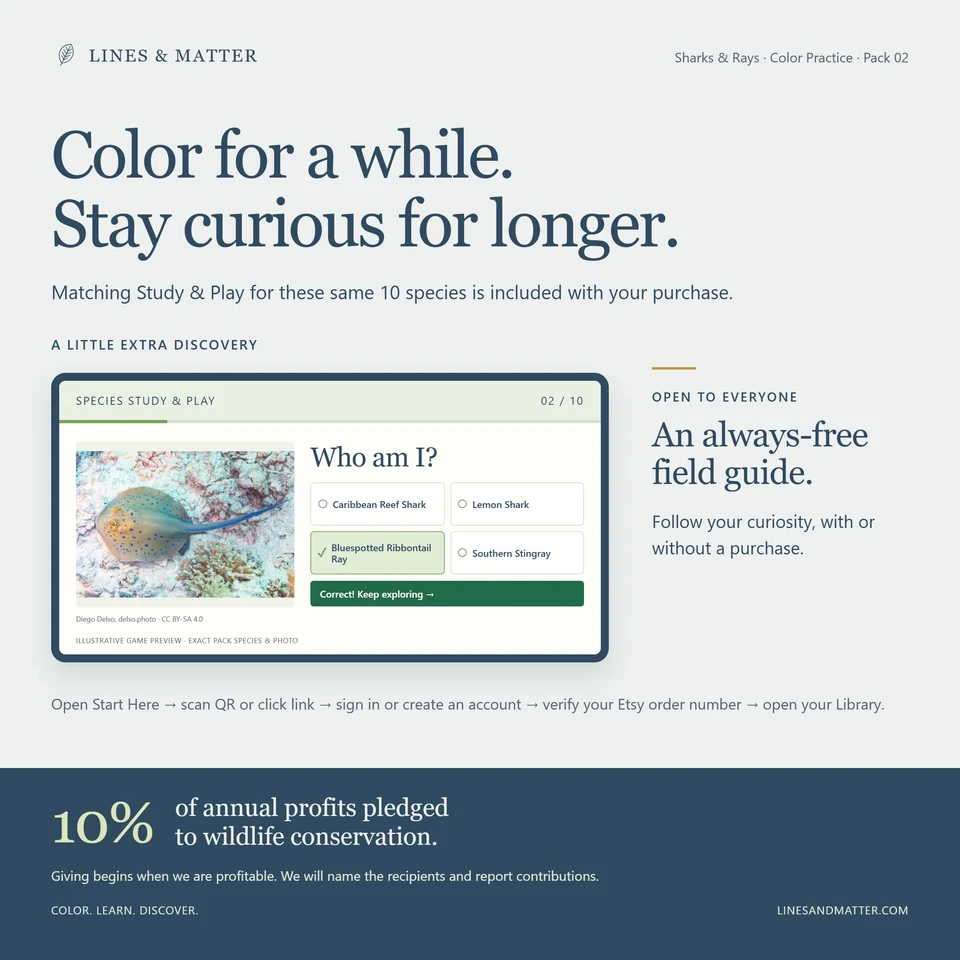 Color Practice Pack 02 product preview 3