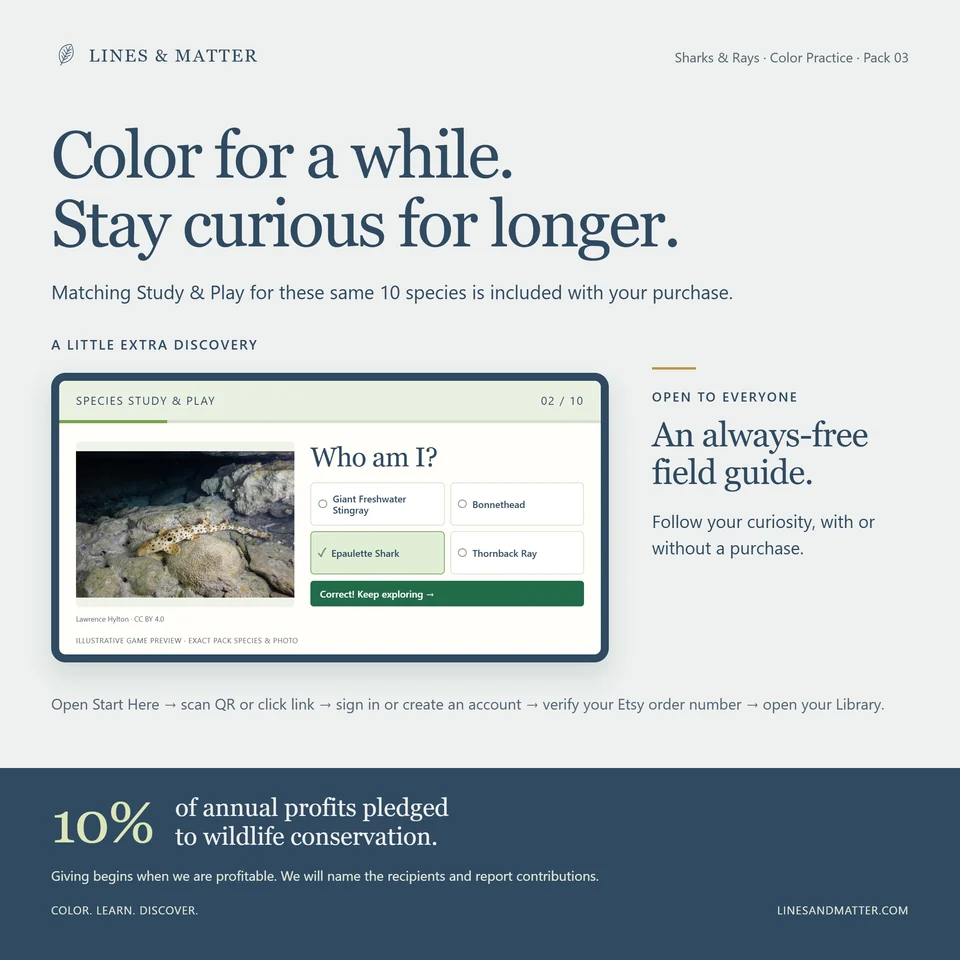 Color Practice Pack 03 product preview 3