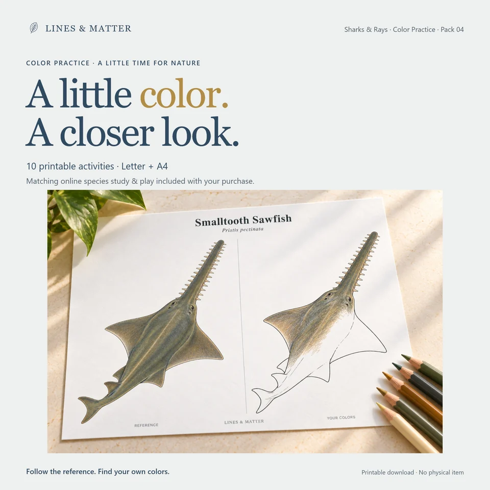 Color Practice Pack 04 product preview 1