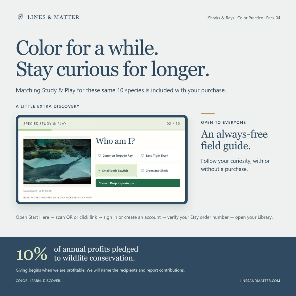 Color Practice Pack 04 product preview 3