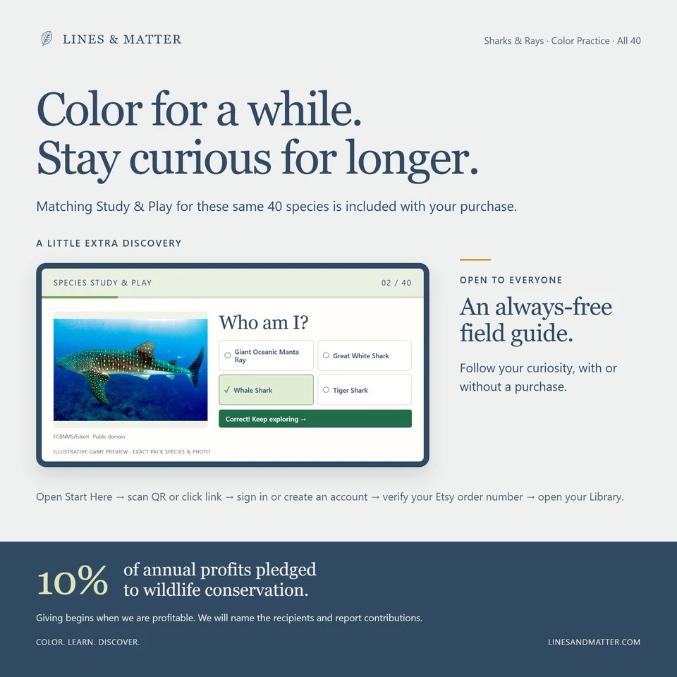 Color Practice Complete 40 product preview 3
