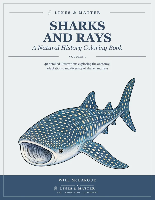 Sharks and Rays coloring book cover