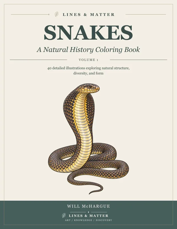 Snakes coloring book cover