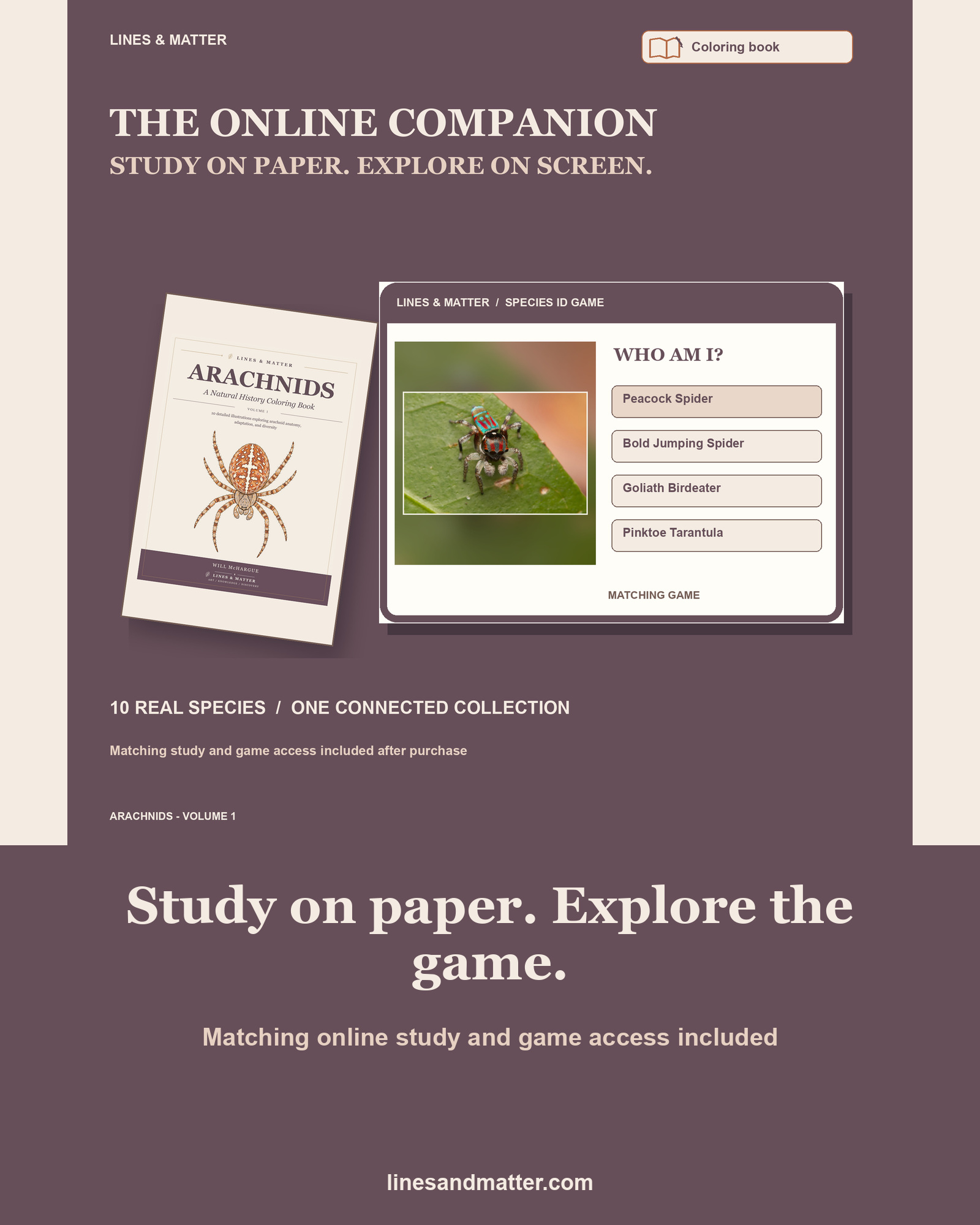 Arachnids - Volume 1 Coloring Book Set 1: 10 Real Species | Printable PDF preview 2