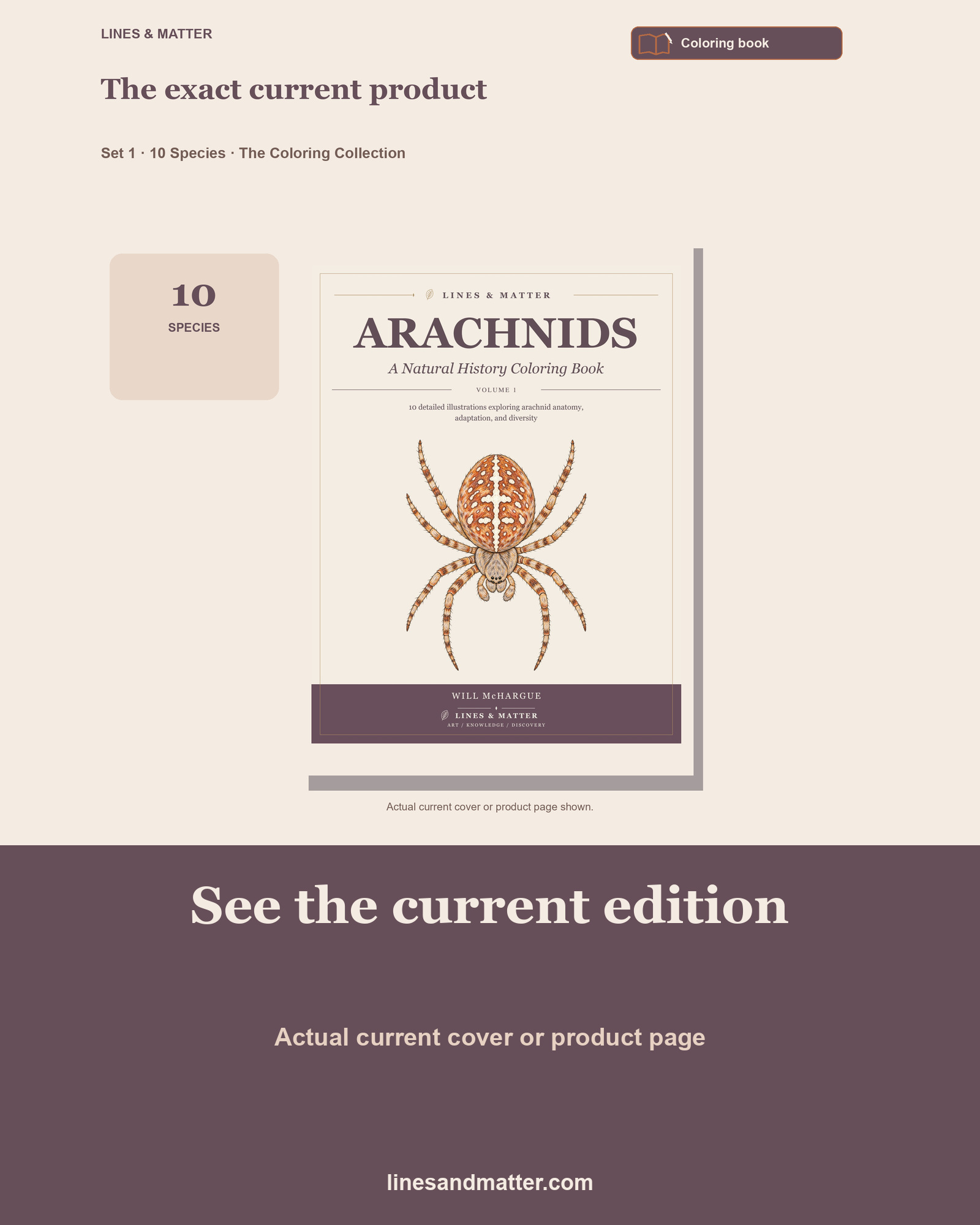 Arachnids - Volume 1 Coloring Book Set 1: 10 Real Species | Printable PDF preview 3