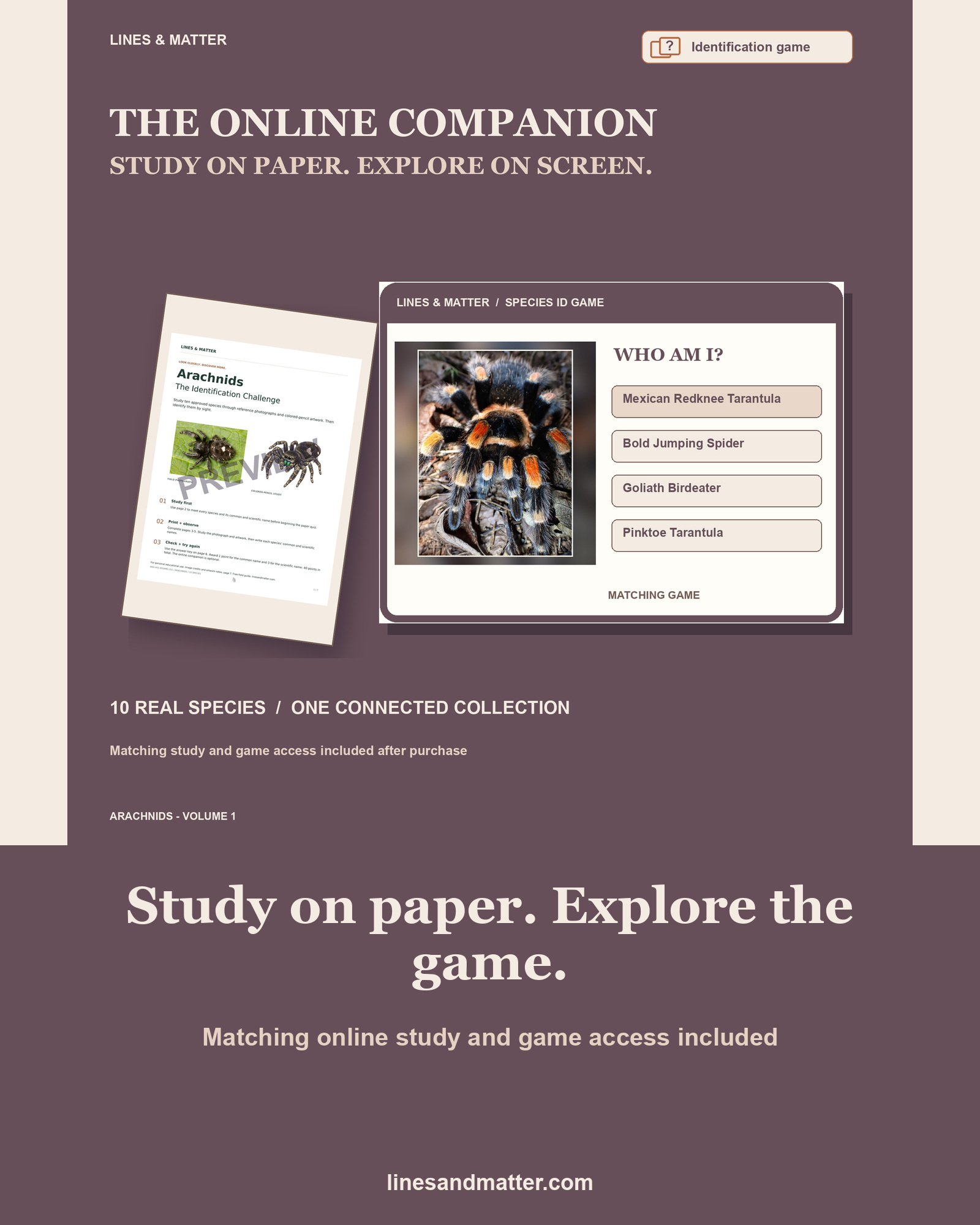 Arachnids - Volume 1 Identification Quiz Set 1: 10 Real Species | Printable PDF preview 2