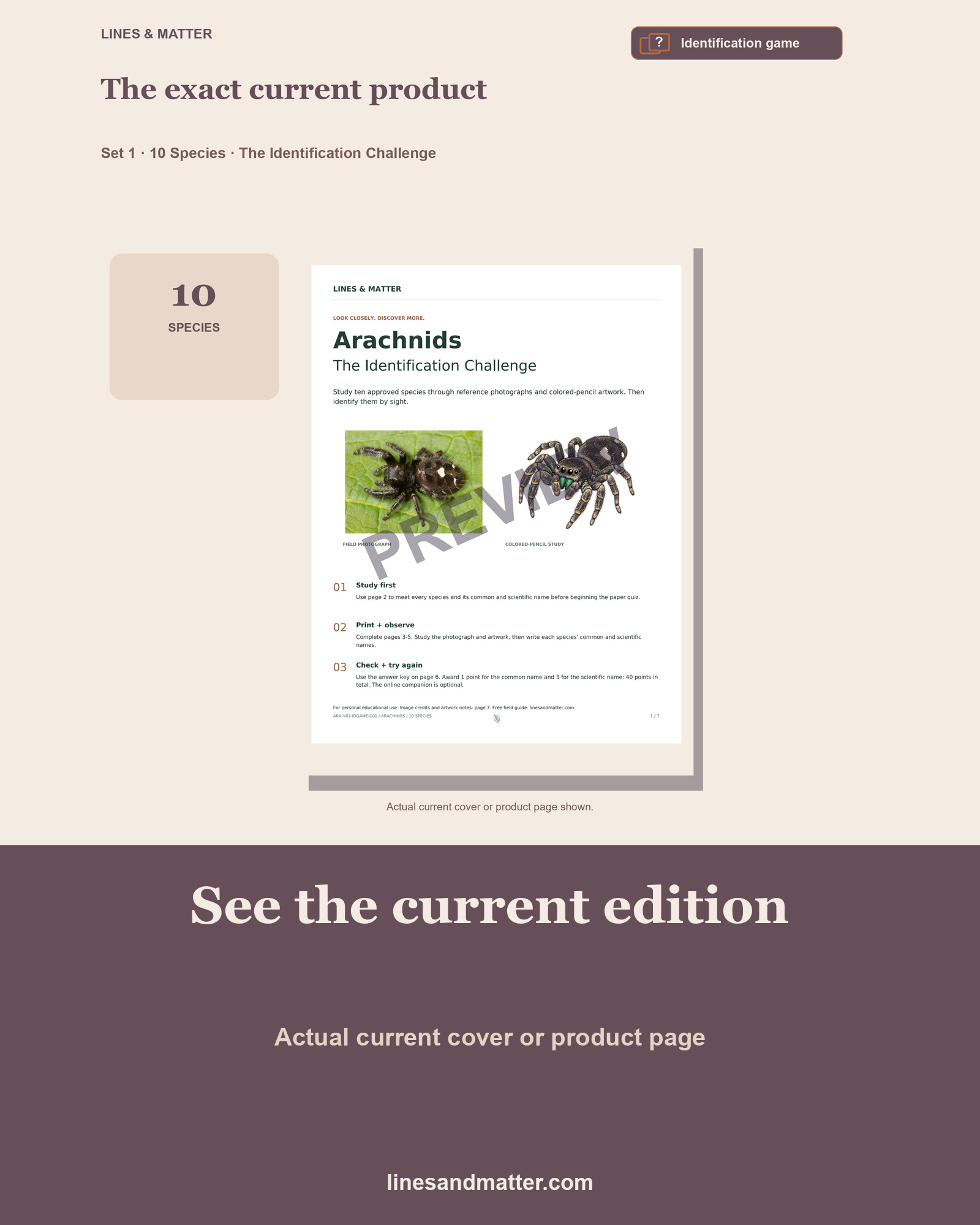 Arachnids - Volume 1 Identification Quiz Set 1: 10 Real Species | Printable PDF preview 3