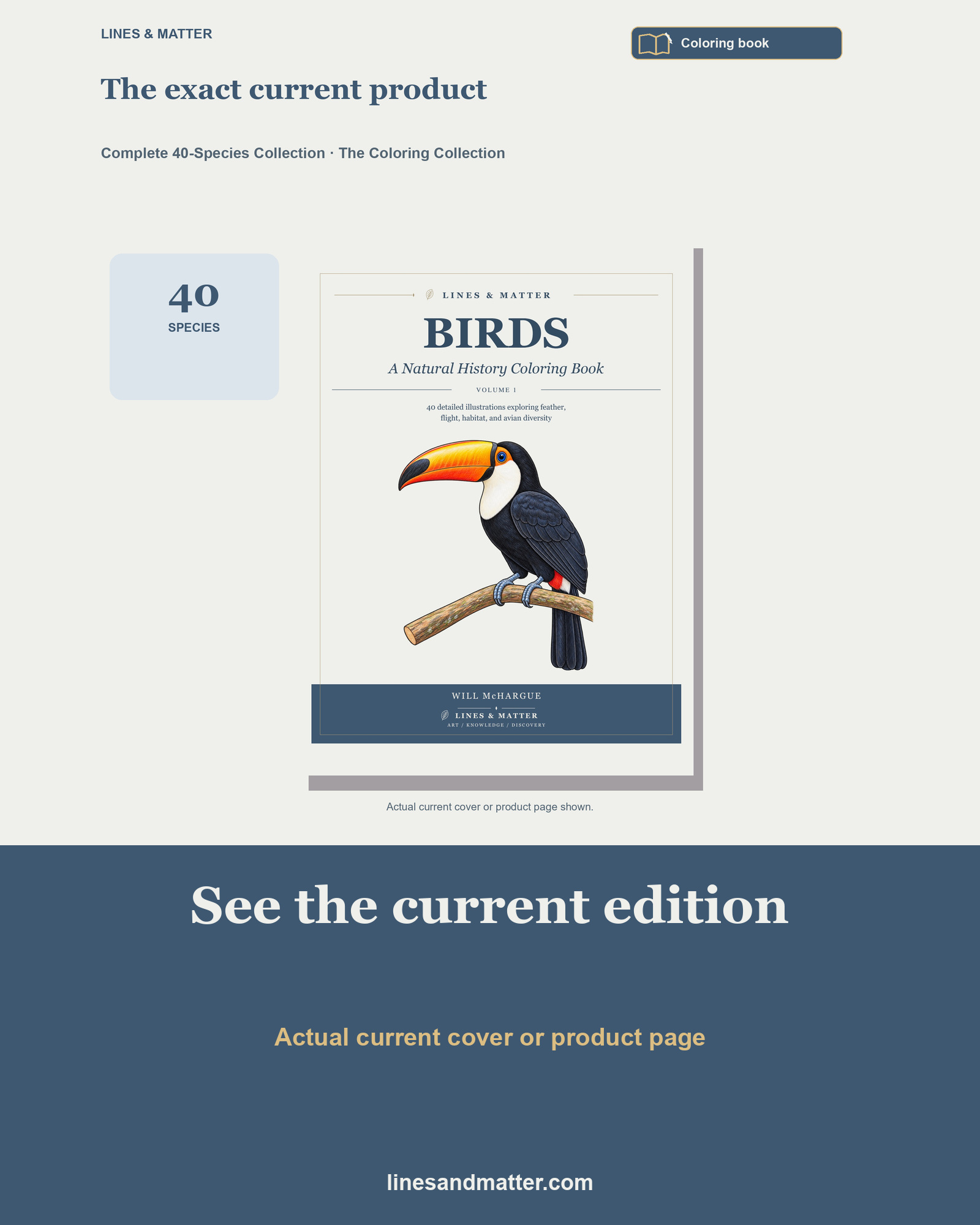 Birds · Volume 1 Coloring Book: 40 Real Species | Printable PDF preview 3