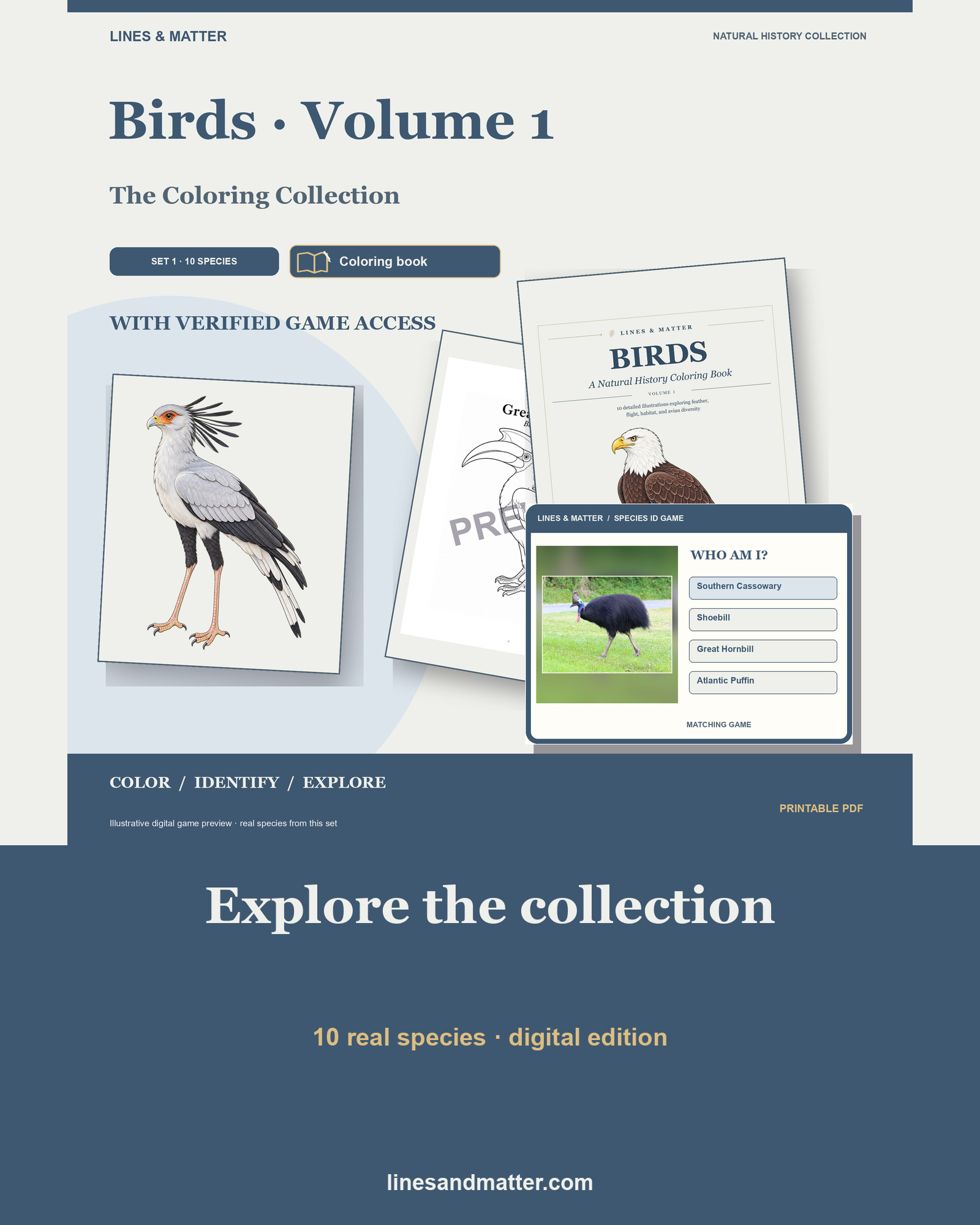 Birds · Volume 1 Coloring Book Set 1: 10 Real Species | Printable PDF preview 1