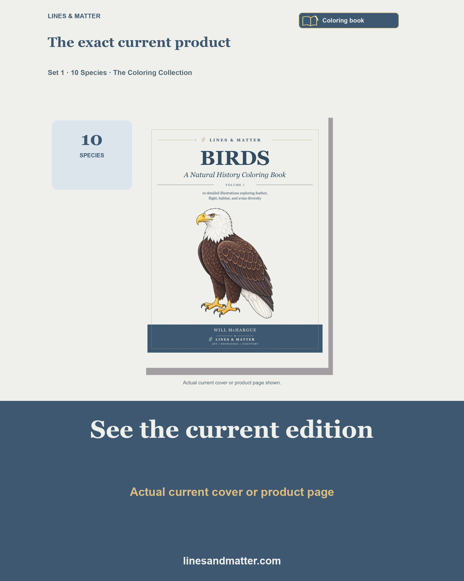 Birds · Volume 1 Coloring Book Set 1: 10 Real Species | Printable PDF preview 3