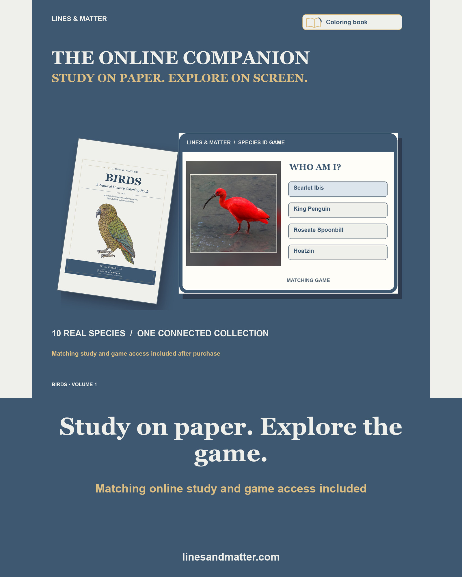 Birds · Volume 1 Coloring Book Set 2: 10 Real Species | Printable PDF preview 2