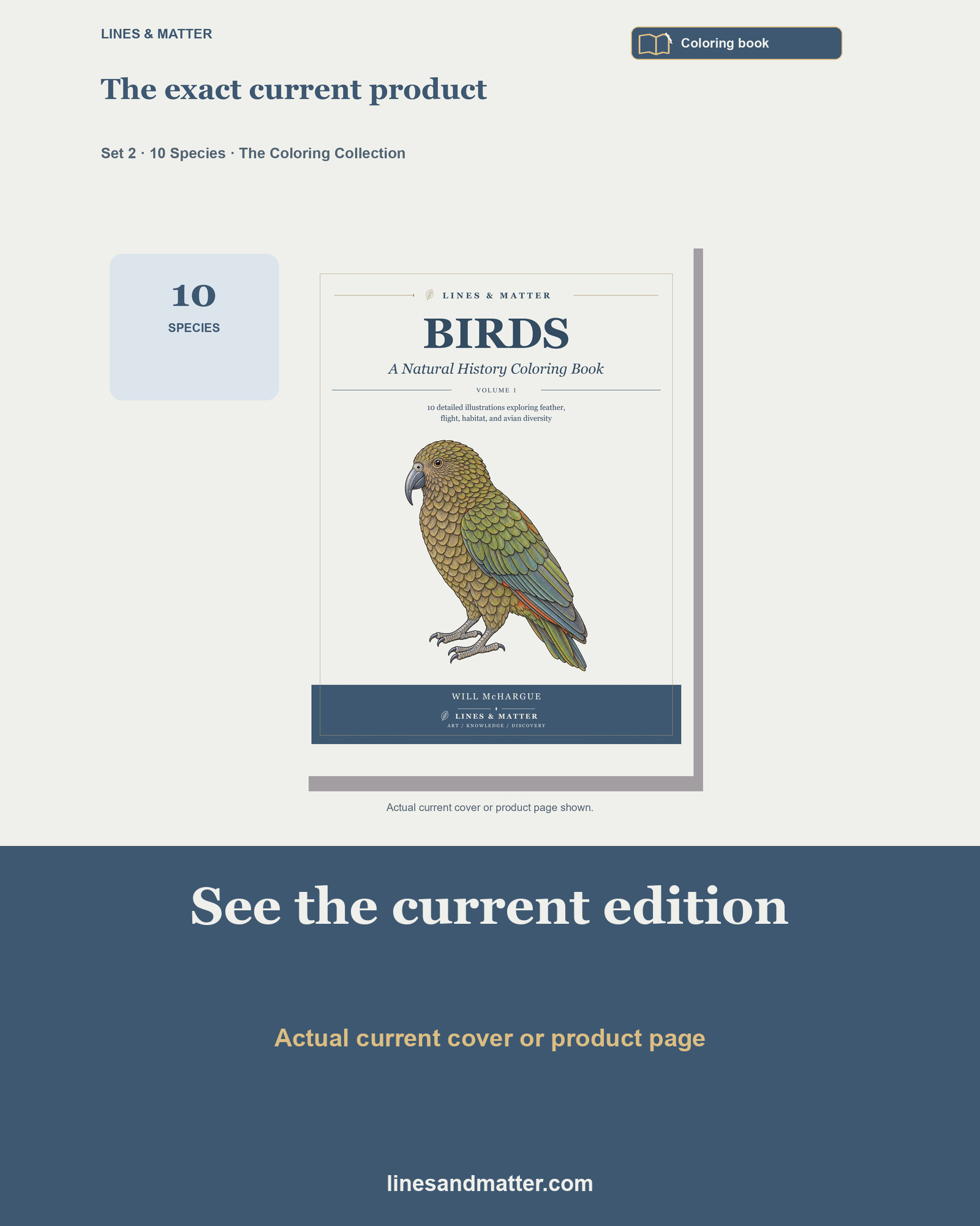 Birds · Volume 1 Coloring Book Set 2: 10 Real Species | Printable PDF preview 3