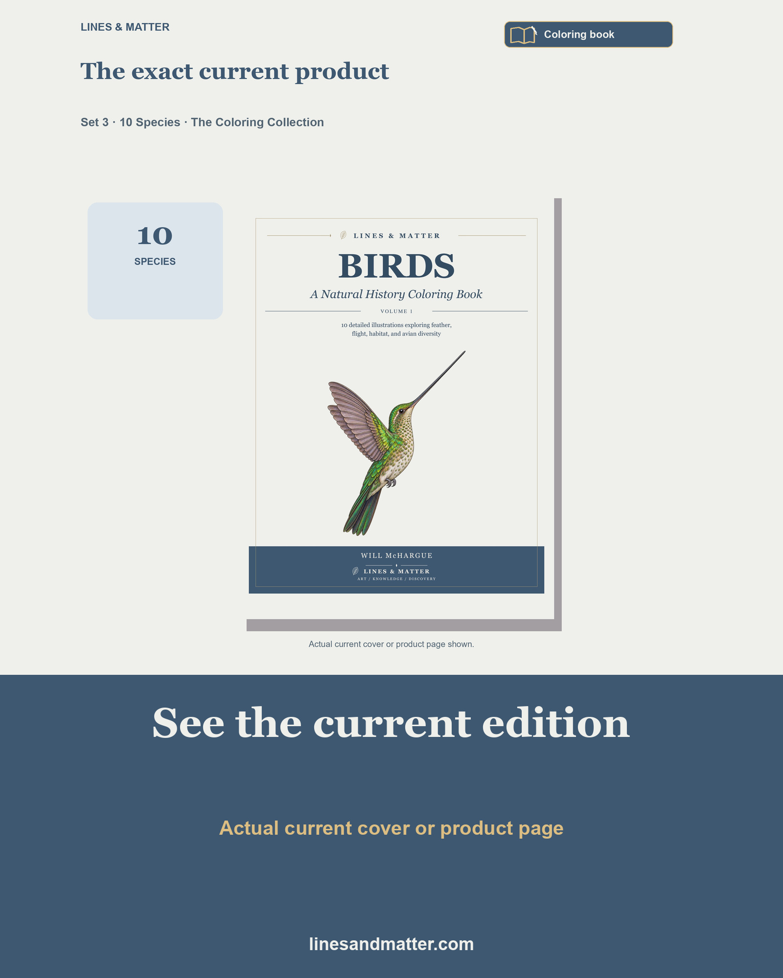 Birds · Volume 1 Coloring Book Set 3: 10 Real Species | Printable PDF preview 3