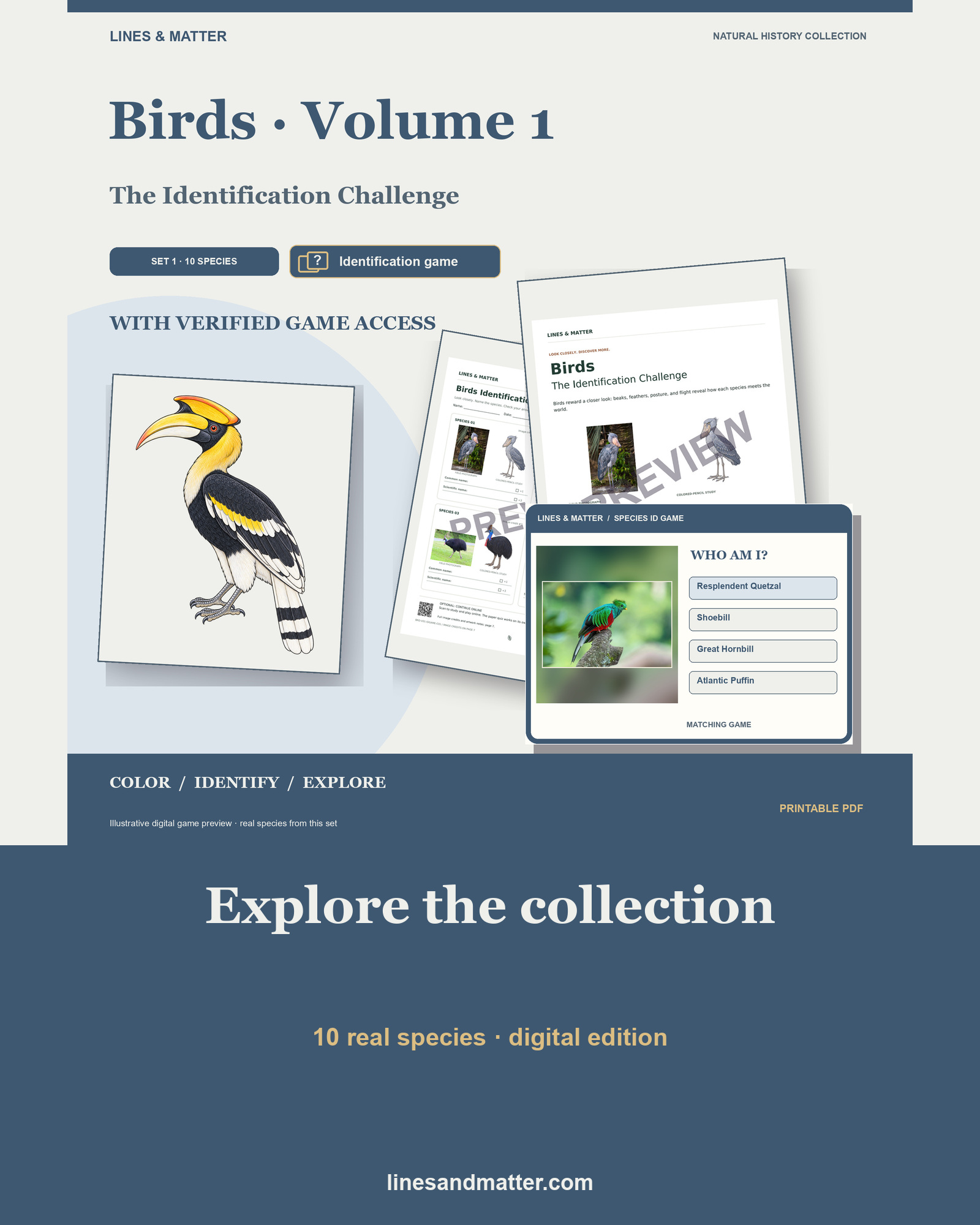 Birds · Volume 1 Identification Quiz Set 1: 10 Real Species | Printable PDF preview 1
