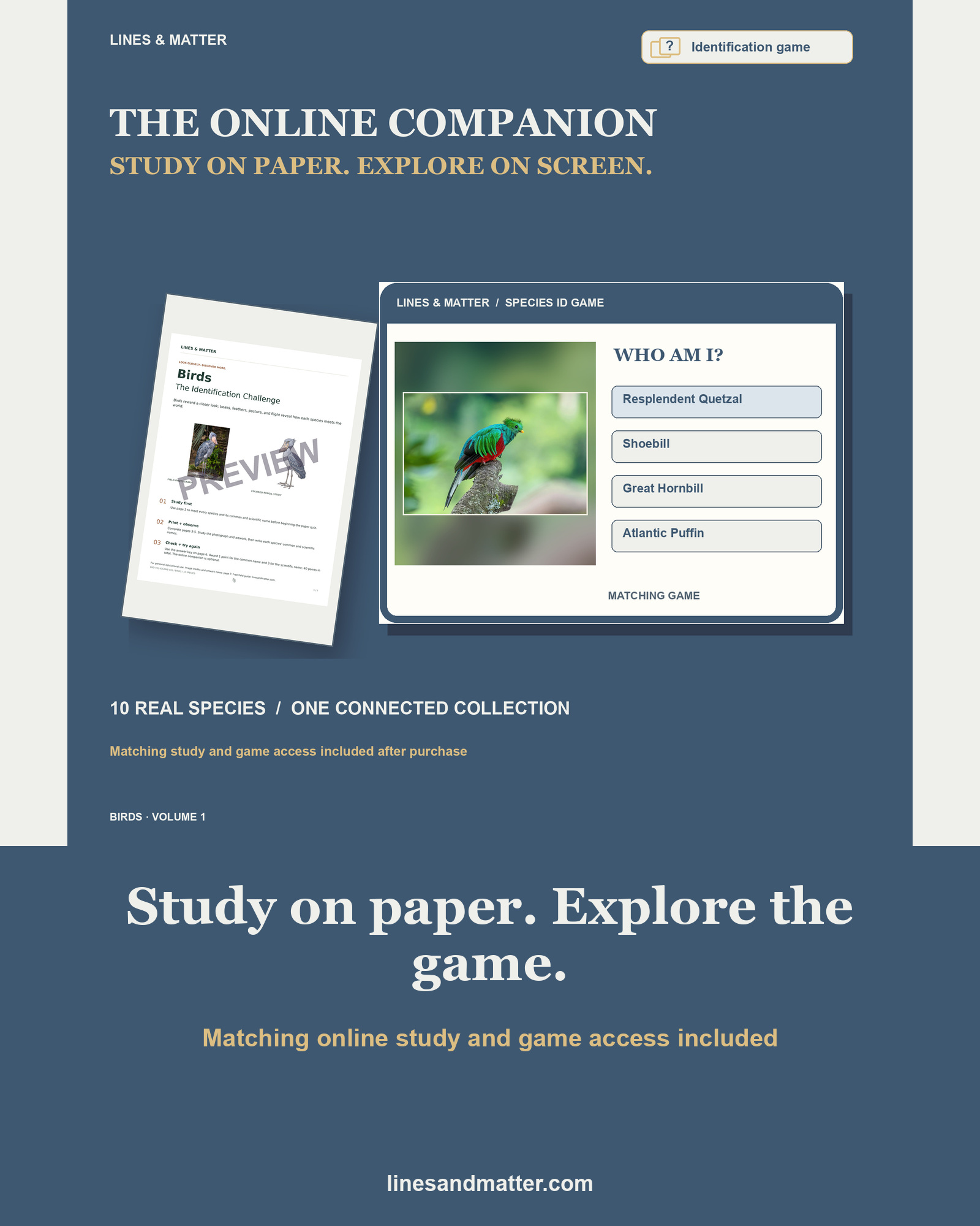 Birds · Volume 1 Identification Quiz Set 1: 10 Real Species | Printable PDF preview 2