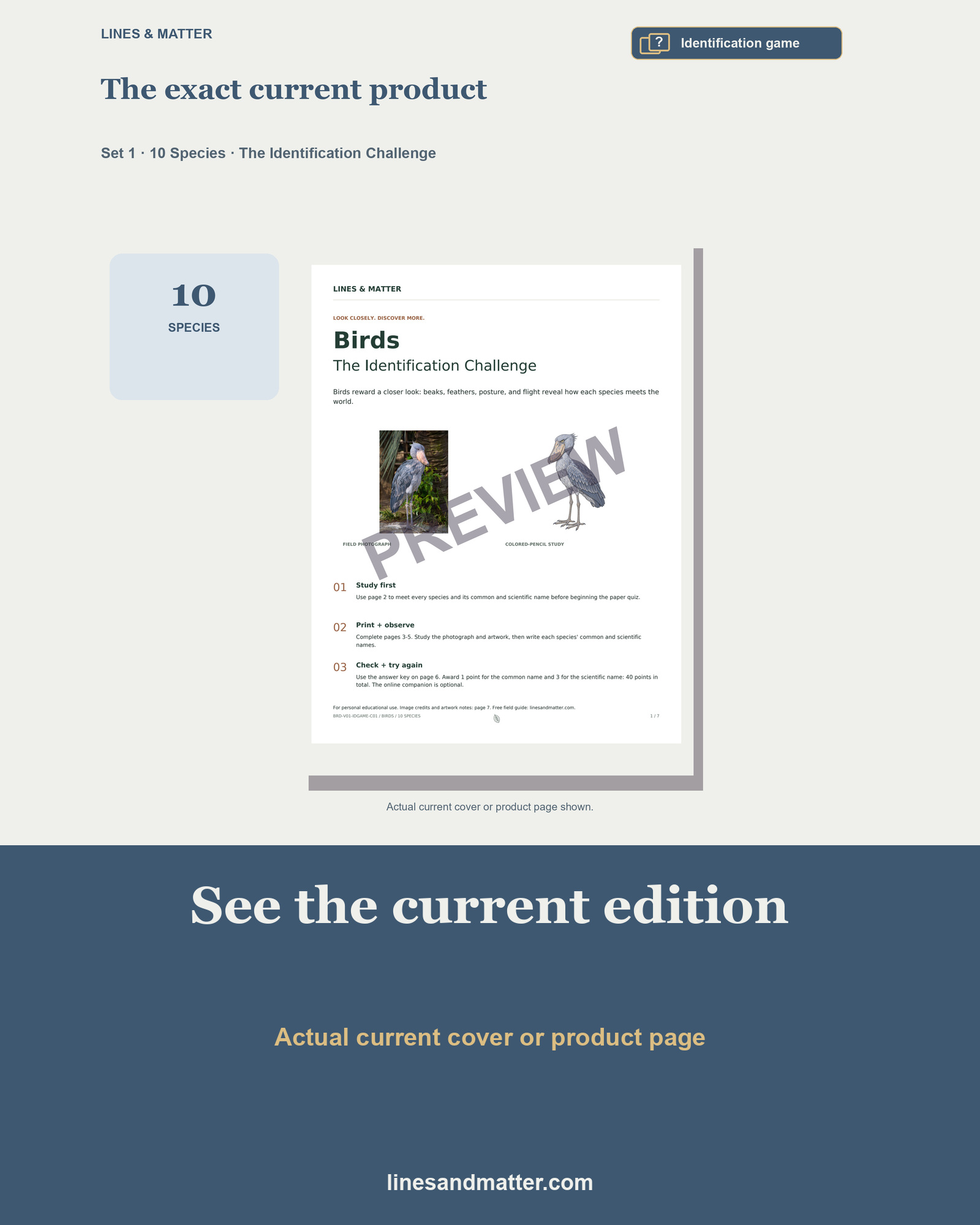 Birds · Volume 1 Identification Quiz Set 1: 10 Real Species | Printable PDF preview 3