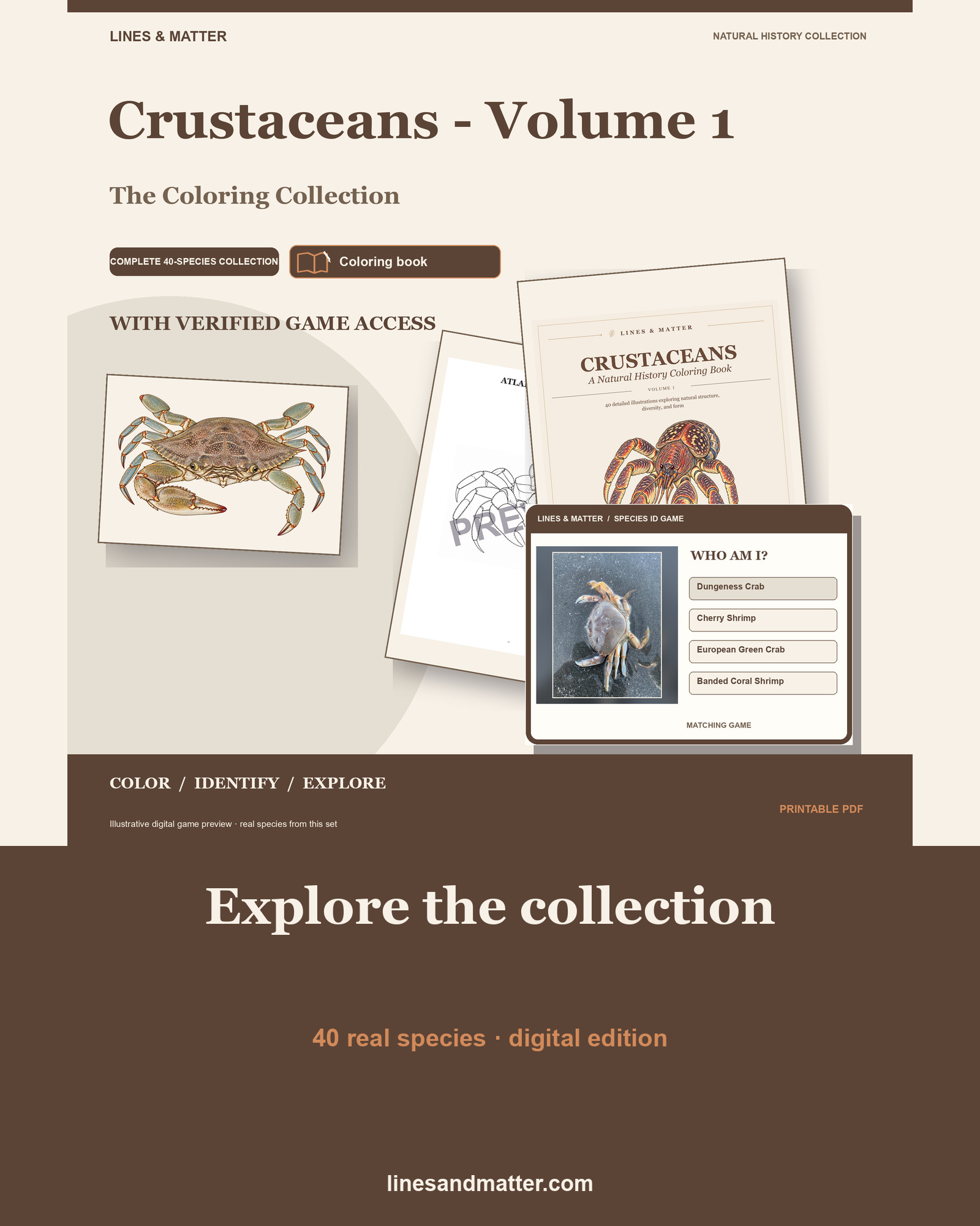 Crustaceans - Volume 1 Coloring Book: 40 Real Species | Printable PDF preview 1