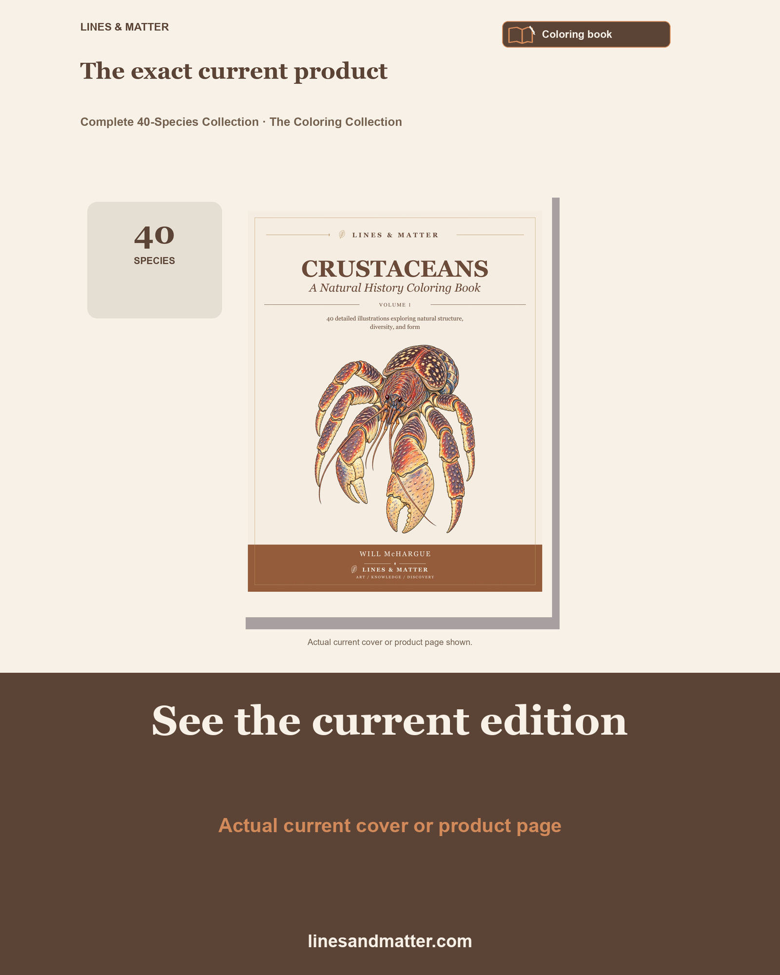 Crustaceans - Volume 1 Coloring Book: 40 Real Species | Printable PDF preview 3