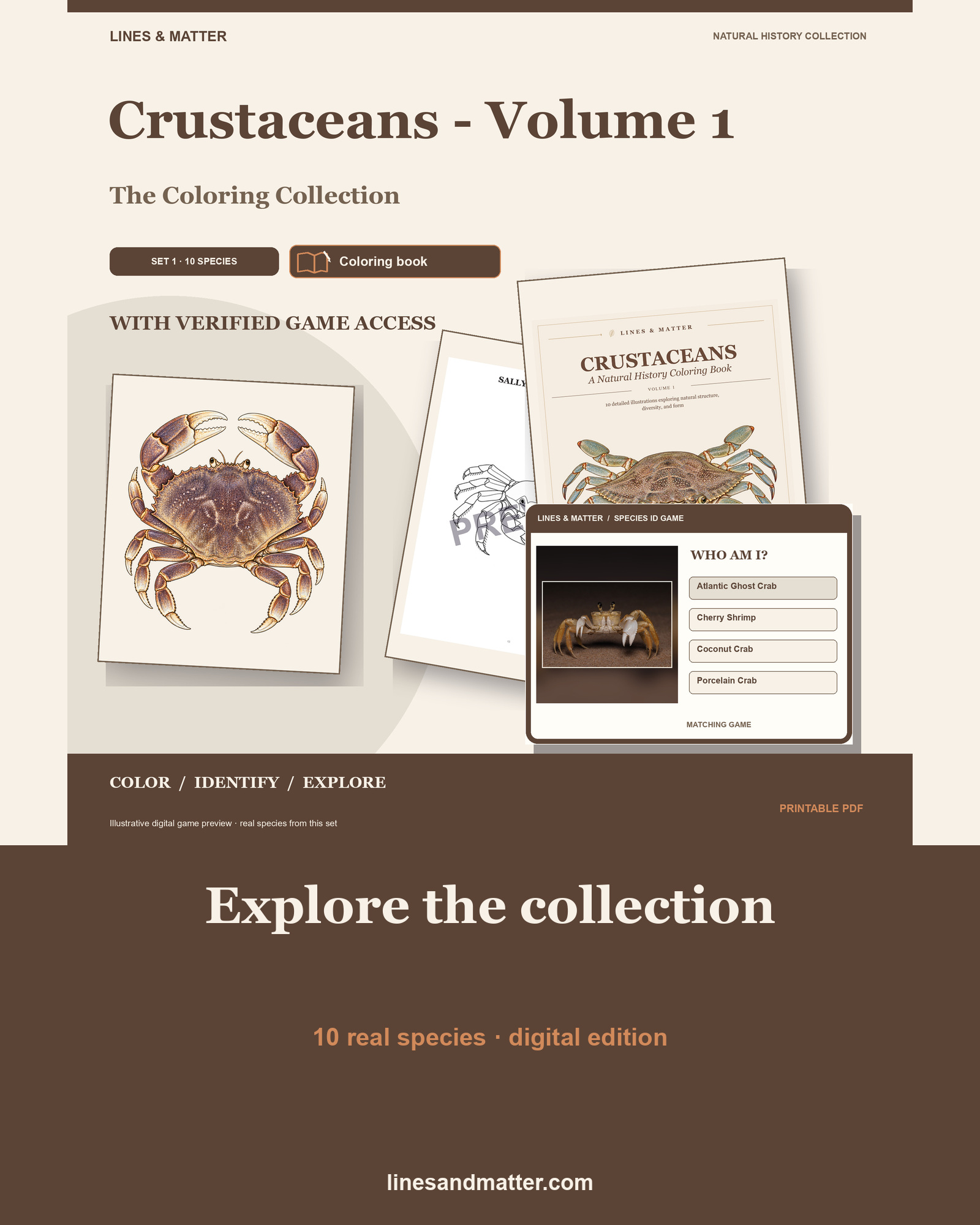 Crustaceans - Volume 1 Coloring Book Set 1: 10 Real Species | Printable PDF preview 1