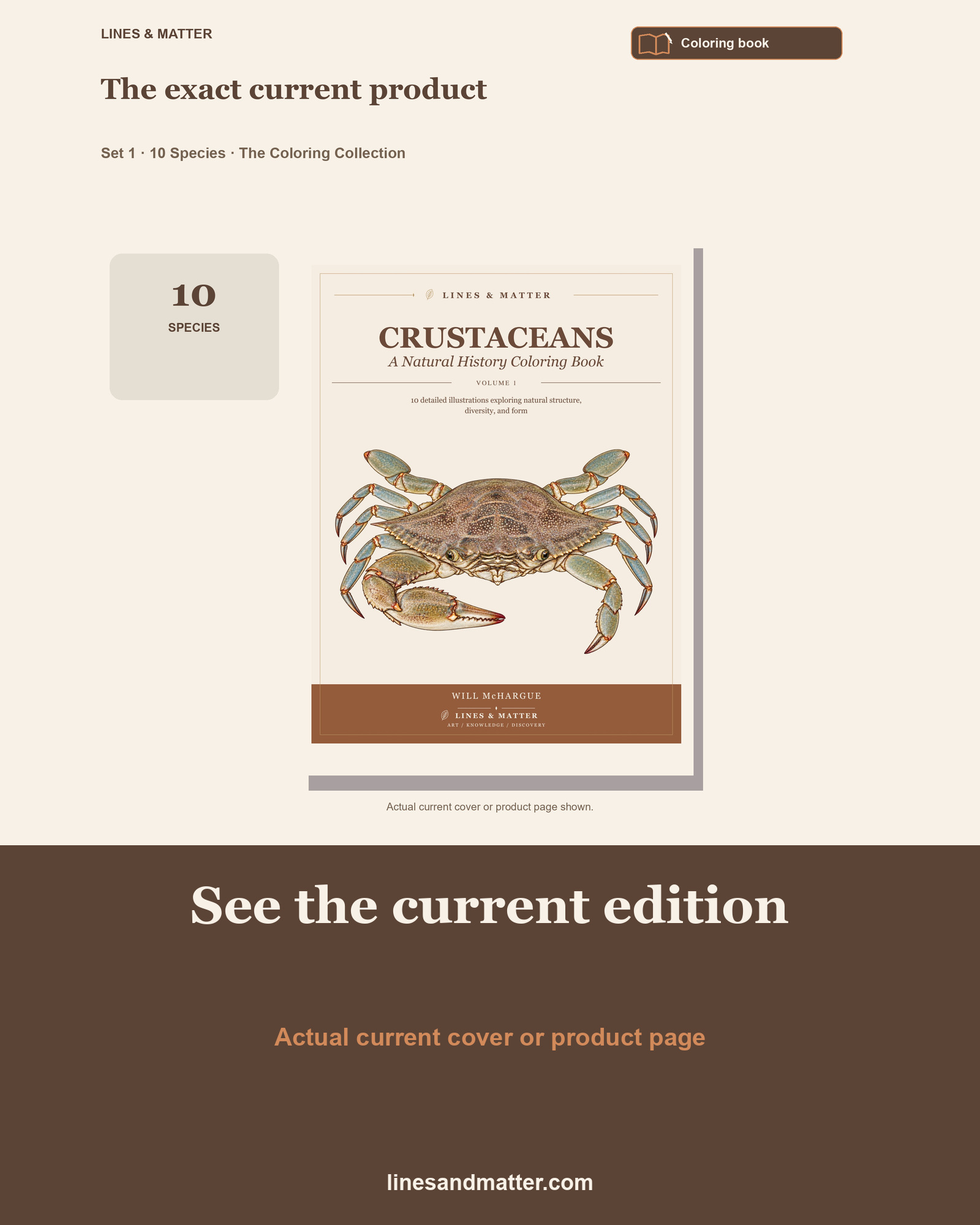 Crustaceans - Volume 1 Coloring Book Set 1: 10 Real Species | Printable PDF preview 3