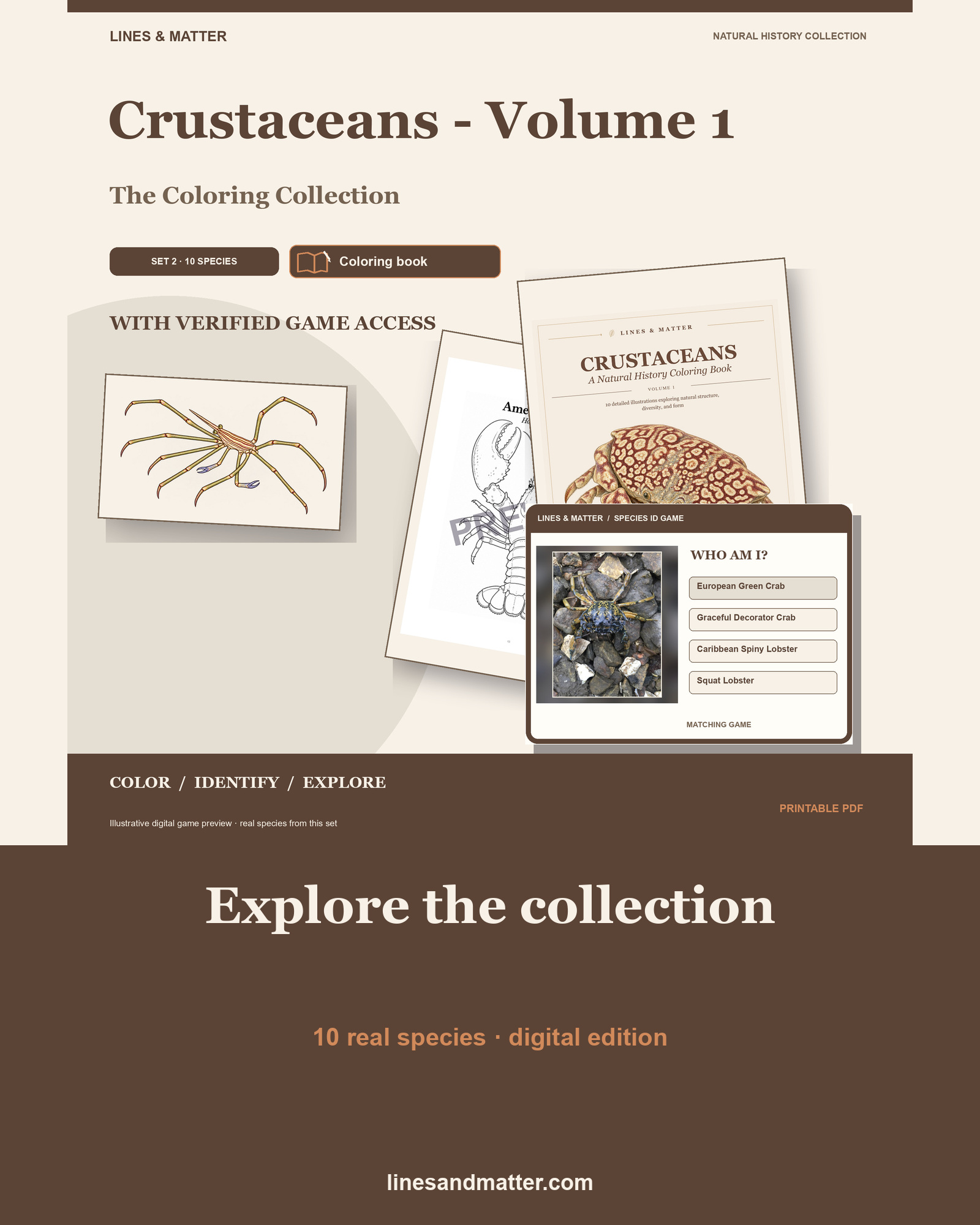 Crustaceans - Volume 1 Coloring Book Set 2: 10 Real Species | Printable PDF preview 1