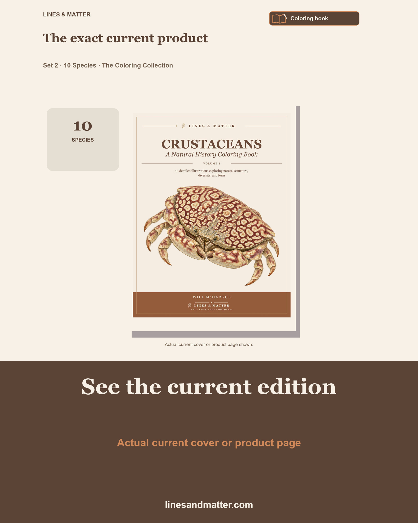 Crustaceans - Volume 1 Coloring Book Set 2: 10 Real Species | Printable PDF preview 3