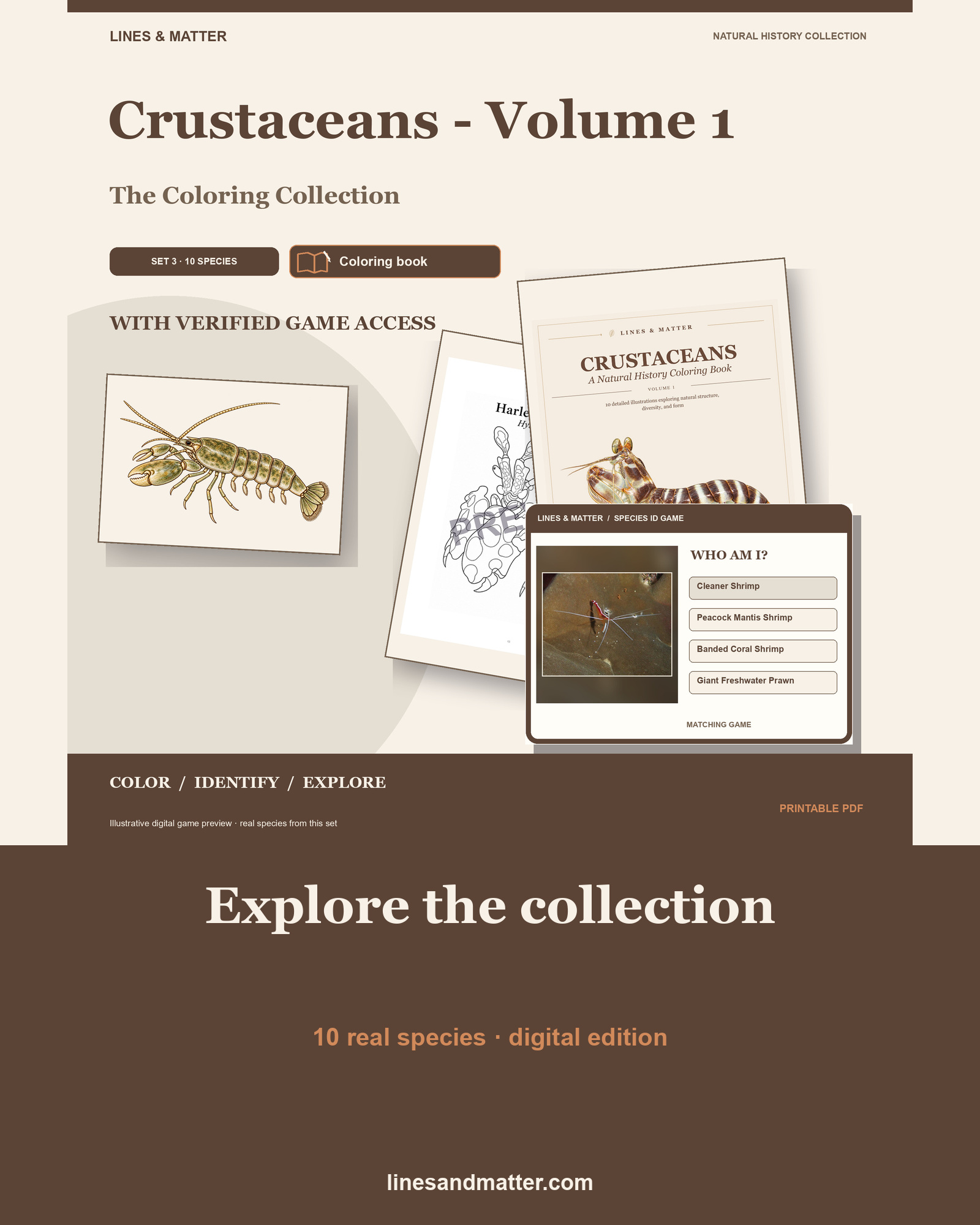 Crustaceans - Volume 1 Coloring Book Set 3: 10 Real Species | Printable PDF preview 1