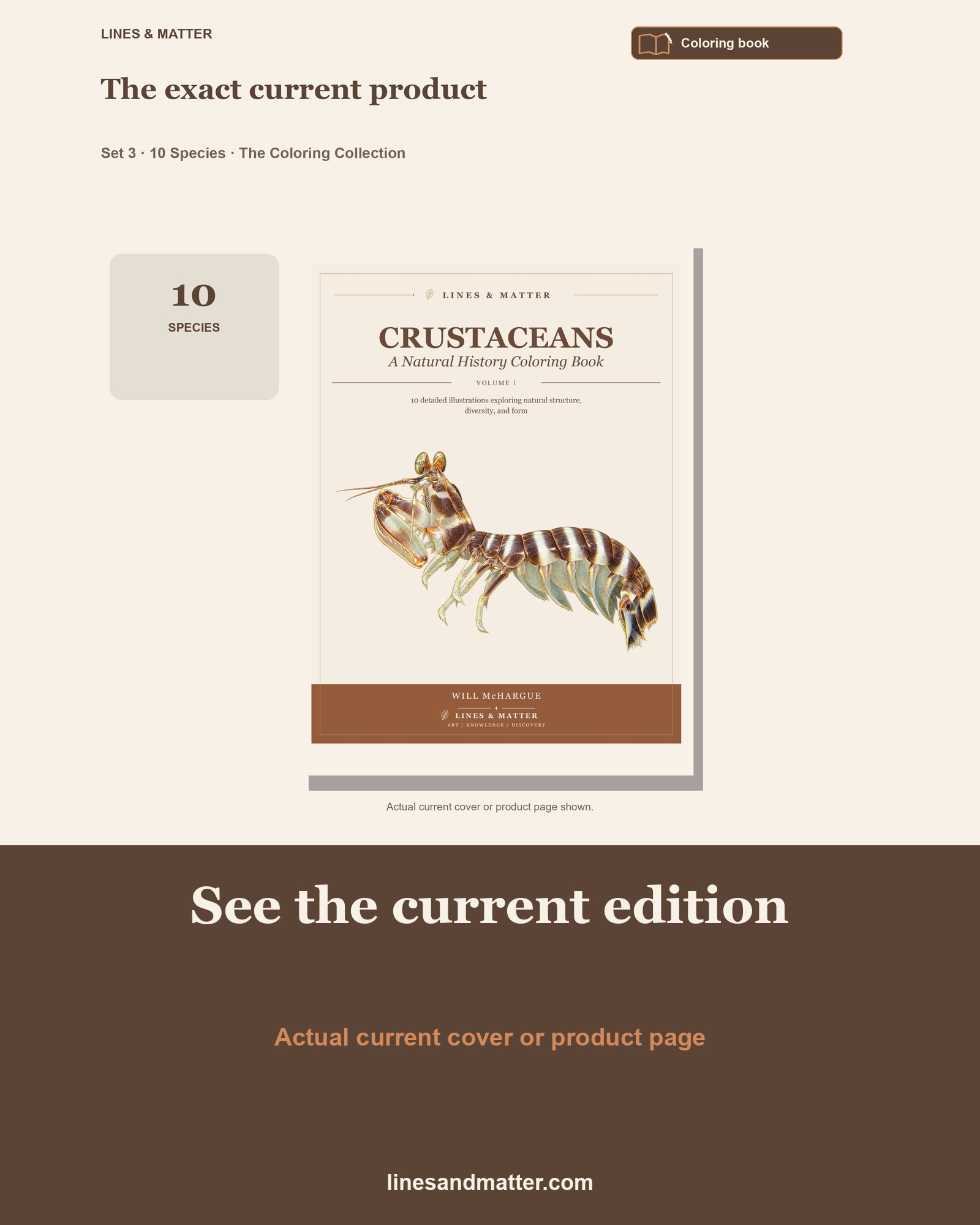 Crustaceans - Volume 1 Coloring Book Set 3: 10 Real Species | Printable PDF preview 3