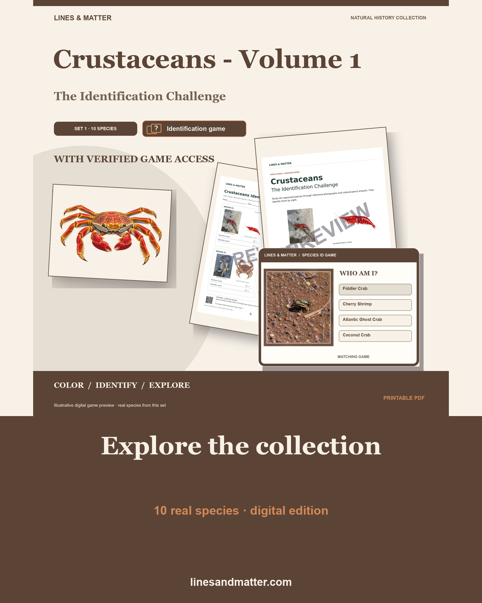 Crustaceans - Volume 1 Identification Quiz Set 1: 10 Real Species | Printable PDF preview 1