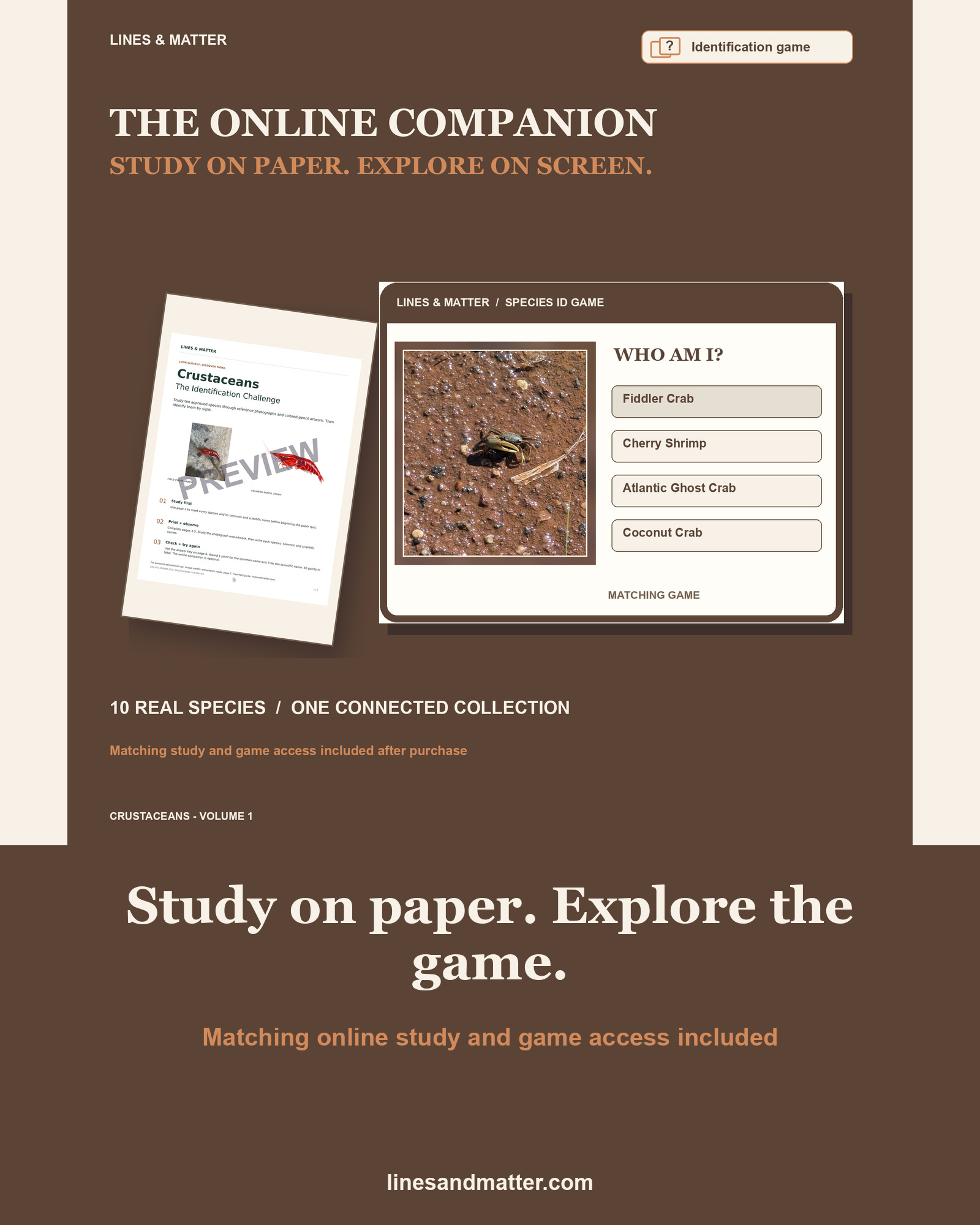 Crustaceans - Volume 1 Identification Quiz Set 1: 10 Real Species | Printable PDF preview 2