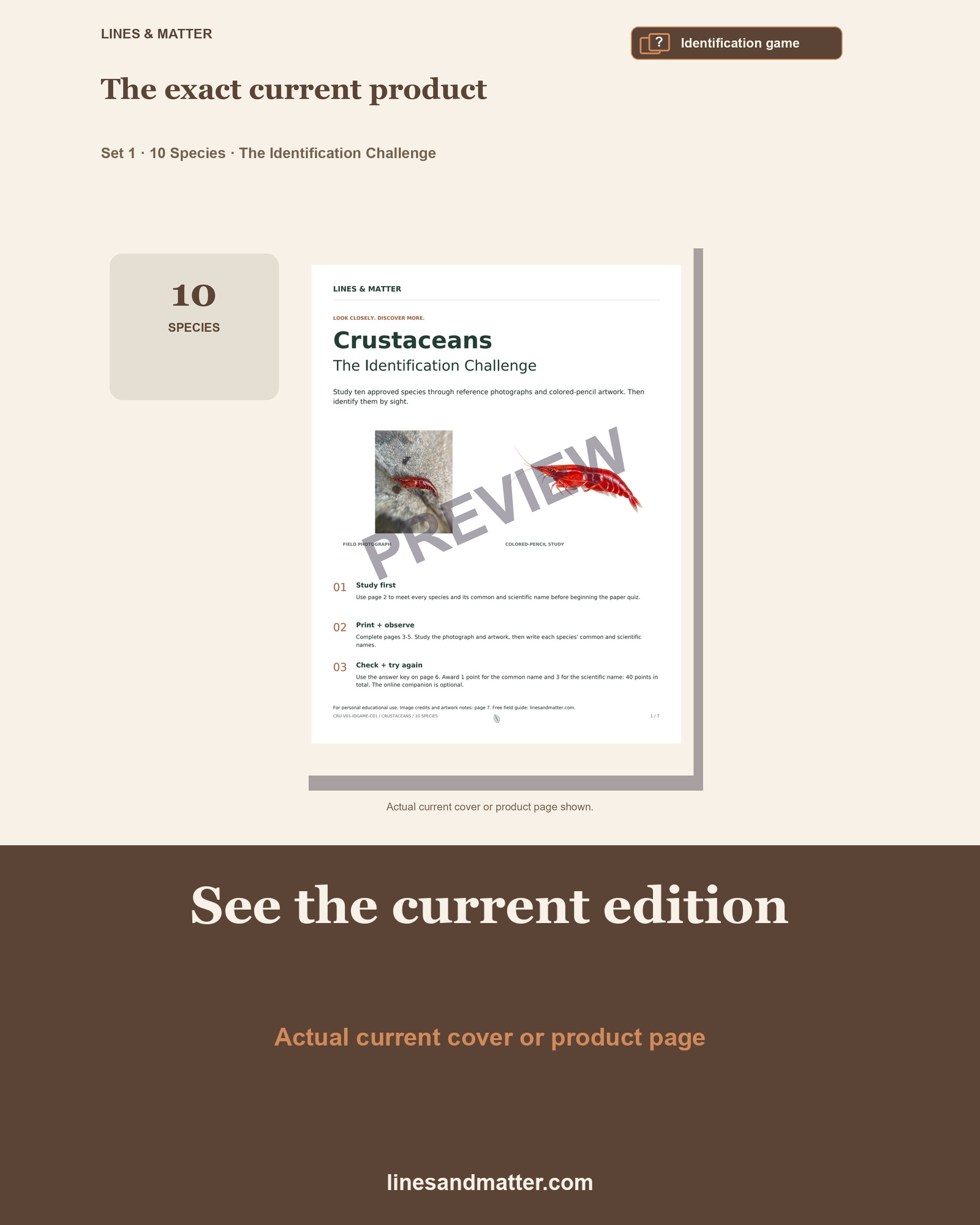 Crustaceans - Volume 1 Identification Quiz Set 1: 10 Real Species | Printable PDF preview 3